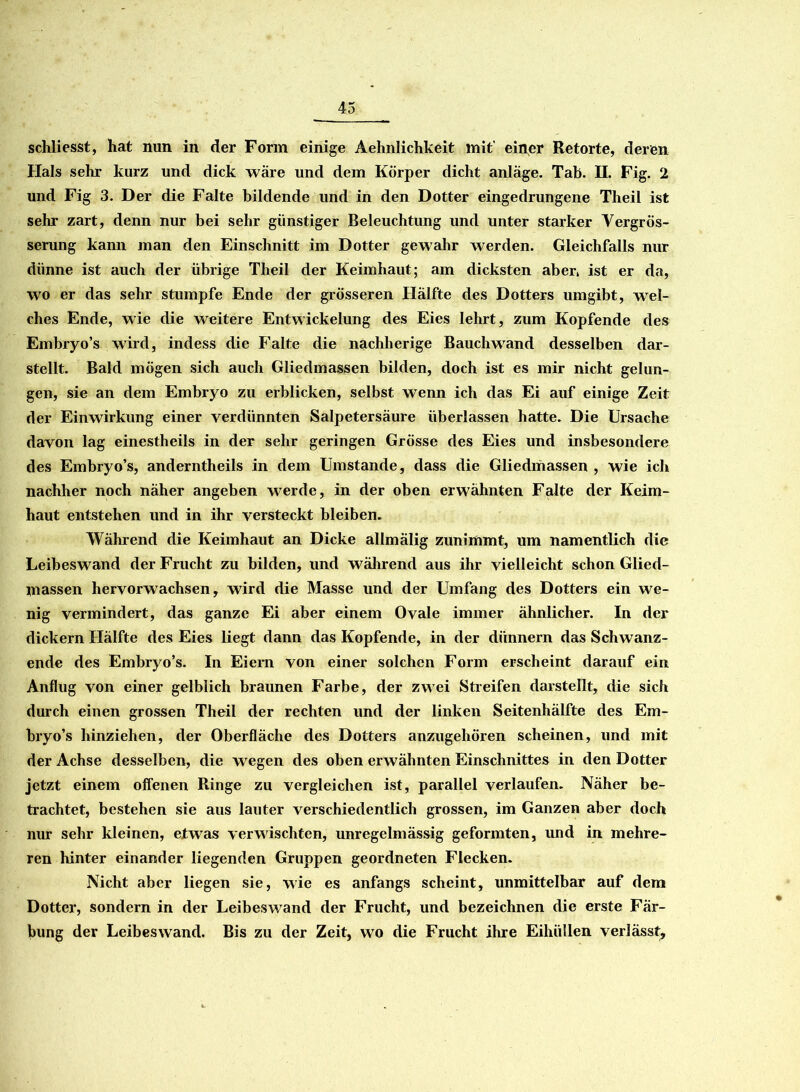 schliesst, hat nun in der Form einige Aehnlichkeit mit’ einer Retorte, deren Hals sehr kurz und dick wäre und dem Körper dicht anläge. Tab. II. Fig. 2 und Fig 3. Der die Falte bildende und in den Dotter eingedrungene Theil ist sehr zart, denn nur bei sehr günstiger Beleuchtung und unter starker Vergrös- serung kann man den Einschnitt im Dotter gewahr werden. Gleichfalls nur dünne ist auch der übrige Theil der Keimhaut; am dicksten aber» ist er da, wo er das sehr stumpfe Ende der grösseren Hälfte des Dotters umgibt, wel- ches Ende, wie die weitere Entwickelung des Eies lehrt, zum Kopfende des Embryo’s wird, indess die Falte die nachherige Bauch wund desselben dar- stellt. Bald mögen sich auch Gliedmassen bilden, doch ist es mir nicht gelun- gen, sie an dem Embryo zu erblicken, selbst wenn ich das Ei auf einige Zeit der Einwirkung einer verdünnten Salpetersäure überlassen hatte. Die Ursache davon lag einestheils in der sehr geringen Grösse des Eies und insbesondere des Embryo’s, anderntheils in dem Umstande, dass die Gliedmassen , wie ich nachher noch näher angeben wurde, in der oben erwähnten Falte der Keim- haut entstehen und in ihr versteckt bleiben. Während die Keimhaut an Dicke allmälig zunimmt, um namentlich die Leibeswand der Frucht zu bilden, und während aus ihr vielleicht schon Glied- massen hervorwachsen, wird die Masse und der Umfang des Dotters ein we- nig vermindert, das ganze Ei aber einem Ovale immer ähnlicher. In der dickem Hälfte des Eies liegt dann das Kopfende, in der dünnem das Schwanz- ende des Embryo’s. In Eiern von einer solchen Form erscheint darauf ein Anflug von einer gelblich braunen Farbe, der zwei Streifen darstellt, die sich durch einen grossen Theil der rechten und der linken Seitenhälfte des Em- bryo’s hinziehen, der Oberfläche des Dotters anzugehören scheinen, und mit der Achse desselben, die wegen des oben erwähnten Einschnittes in den Dotter jetzt einem offenen Ringe zu vergleichen ist, parallel verlaufen. Näher be- trachtet, bestehen sie aus lauter verschiedentlich grossen, im Ganzen aber doch nur sehr kleinen, etwas verwischten, unregelmässig geformten, und in mehre- ren hinter einander liegenden Gruppen geordneten Flecken. Nicht aber liegen sie, wie es anfangs scheint, unmittelbar auf dem Dotter, sondern in der Leibeswrand der Frucht, und bezeichnen die erste Fär- bung der Leibeswand. Bis zu der Zeit, wo die Frucht ihre Eihüllen verlässt.