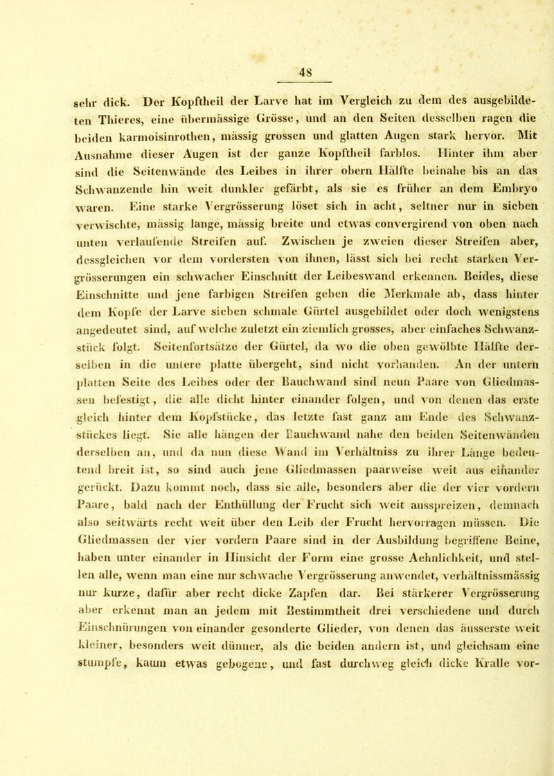 gehr dick. Der Kopftheil der Larve hat im Vergleich zu dem des ausgebilde- ten Thieres, eine übermässige Grösse, und an den Seiten desselben ragen die beiden karmoisinrothen, massig grossen und glatten Augen stark hervor. Mit Ausnahme dieser Augen ist der ganze Kopftheil farblos. Hinter ihm aber sind die Seitenwände des Leibes in ihrer obern Hälfte beinahe bis an das Schwanzende hin weit dunkler gefärbt, als sie es früher an dem Embryo waren. Eine starke Vergrösserung löset sich in acht, seltner nur in sieben verwischte, mässig lange, mässig breite und etwas convergirend von oben nach unten verlaufende Streifen auf. Zwischen je zweien dieser Streifen aber, dessgleichen vor dem vordersten von ilinen, lässt sich bei recht starken Ver- grösserungen ein schwacher Einschnitt der Leibeswand erkennen. Beides, diese Einschnitte und jene farbigen Streifen geben die Merkmale ab, dass hinter dem Kopfe der Larve sieben schmale Gürtel aiisgebihlct oder doch wenigstens angedcutet sind, auf welche zuletzt ein ziemlich grosses, aber einfaches Schwanz- stück folgt. Seitenfortsätze der Gürtel, da wo die oben gewölbte Hälfte der- selben in die untere platte übergeht, sind nicht vorhanden. An der untern platten Seite des Leibes oder der Bauch wand sind neun Paare von Gliedmas- sen befestigt, die alle dicht hinter einander folgen, und von denen das erste gleich hinter dem Kopfstücke, das letzte fast ganz am Ende des Schwanz- stückes liegt. Sie alle hängen der Bauchwaml nahe den beiden Seitenwänden derselben an, und da nun diese Wand im Verhältnis zu ihrer Länge bedeu- tend breit ist, so sind auch jene Gliedmassen paarweise weit aus einander gerückt. Dazu kommt noch, dass sie alle, besonders aber die der vier vordem Paare, bald nach der Enthüllung der Frucht sich weit ausspreizen, demnach also seitwärts recht weit über den Leib der Frucht hervorragen müssen. Die Gliedmassen der vier vordem Paare sind in der Ausbildung begriffene Beine, haben unter einander in Hinsicht der Form eine grosse Aehnliclikeit, und stel- len alle, wenn man eine nur schwache Vergrösserung anwendet, verhältnissmässig nur kurze, dafür aber recht dicke Zapfen dar. Bei stärkerer Vergrösserung aber erkennt man an jedem mit Bestimmtheit drei verschiedene und durch Einschnürungen von einander gesonderte Glieder, von denen das äusserste weit kleiner, besonders weit dünner, als die beiden andern ist, und gleichsam eine stumpfe, kaum etwas gebogene, und fast durchweg gleich dicke Kralle vor-