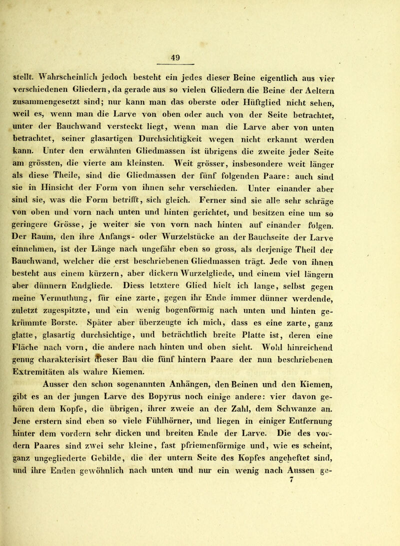 stellt. Wahrscheinlich jedoch besteht ein jedes dieser Beine eigentlich aus vier verschiedenen Gliedern, da gerade aus so vielen Gliedern die Beine der Aeltern zusammengesetzt sind; nur kann man das oberste oder Hüftglied nicht sehen, weil es, wenn man die Larve von oben oder auch von der Seite betrachtet, unter der Bauchwand versteckt liegt, wenn man die Larve aber von unten betrachtet, seiner glasartigen Durchsichtigkeit wegen nicht erkannt werden kann. Unter den erwähnten Gliedmassen ist übrigens die zweite jeder Seite am grössten, die vierte am kleinsten. Weit grösser, insbesondere weit länger als diese Theile, sind die Gliedmassen der fünf folgenden Paare: auch sind sie in Hinsicht der Form von ihnen sehr verschieden. Unter einander aber sind sie, was die Form betrifft, sich gleich. Ferner sind sie alle sehr schräge von oben und vorn nach unten und hinten gerichtet, und besitzen eine um so geringere Grösse, je weiter sie von vorn nach hinten auf einander folgen. Der Raum, den ihre Anfangs - oder Wurzelstücke an der Bauchseite der Larve einnehmen, ist der Länge nach ungefähr eben so gross, als derjenige Theil der Bauchwand, welcher die erst beschriebenen Gliedmassen trägt. Jede von ihnen besteht aus einem kürzern, aber dickem Wurzelgliede, und einem viel längern aber dünnem Endgliede. Diess letztere Glied hielt ich lange, selbst gegen meine Vermuthung, für eine zarte, gegen ihr Ende immer dünner werdende, zuletzt zugespitzte, und ein wenig bogenförmig nach unten und hinten ge- krümmte Borste. Später aber überzeugte ich mich, dass es eine zarte, ganz glatte, glasartig durchsichtige, und beträchtlich breite Platte ist, deren eine Fläche nach vorn, die andere nach hinten und oben sieht. Wohl hinreichend genug charakterisirt (fieser Bau die fünf hintern Paare der nun beschriebenen Extremitäten als wahre Kiemen. Ausser den schon sogenannten Anhängen, den Beinen und den Kiemen, gibt es an der jungen Larve des Bopyrus noch einige andere: vier davon ge- hören dem Kopfe, die übrigen, ihrer zweie an der Zahl, dem Schwänze an. Jene erstem sind eben so viele Fühlhörner, und liegen in einiger Entfernung hinter dem vordem sehr dicken und breiten Ende der Larve. Die des vor- dem Paares sind zwei sehr kleine, fast pfriemenfömnige und, wie es scheint, ganz ungegliederte Gebilde, die der untern Seite des Kopfes angeheftet sind, und ihre Enden gew öhnlich nach unten und nur ein wrenig nach Aussen ge-