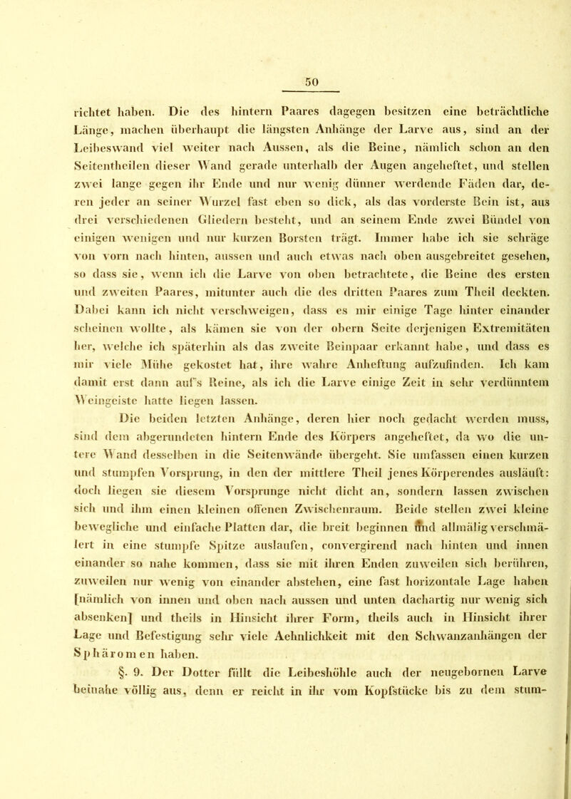 richtet haben. Die ries hintern Paares dagegen besitzen eine beträchtliche Länge, machen überhaupt die längsten Anhänge der Larve ans, sind an der Leibeswand viel weiter nach Aussen, als die Beine, nämlich schon an den Seitentheilen dieser Wand gerade unterhalb der Augen angeheftet, und stellen zwei lange gegen ihr Ende und nur wenig dünner werdende Fällen dar, de- ren jeder an seiner Wurzel fast eben so dick, als das vorderste Bein ist, aus drei verschiedenen Gliedern besteht, und an seinem Ende zwei Bündel von einigen wenigen und nur kurzen Borsten trägt. Immer habe ich sie schräge von vorn nach hinten, aussen und auch etwas nach oben ausgebreitet gesehen, so dass sie, wenn ich die Larve von oben betrachtete, die Beine des ersten und zweiten Paares, mitunter auch die des dritten Paares zum Theil deckten. Dabei kann ich nicht verschweigen, dass es mir einige Tage hinter einander scheinen wollte, als kämen sie von der obern Seite derjenigen Extremitäten her, welche ich späterhin als das zweite Beinpaar erkannt habe, und dass es mir viele Mühe gekostet hat, ihre wahre Anheftung aufzufinden. Ich kam damit erst dann auf’s Beine, als ich die Larve einige Zeit in sehr verdünntem Weingeiste hatte liegen lassen. Die beiden letzten Anhänge, deren hier noch gedacht werden muss, sind dem abgerundeten hintern Ende des Körpers angeheftet, da wo die un- tere \S and desselben in die Seitenwände übergeht. Sie umfassen einen kurzen und stumpfen Vorsprung, in den der mittlere Theil jenes Körperendes ausläuft: doch liegen sie diesem Vorsprunge nicht dicht an, sondern lassen zwischen sich und ihm einen kleinen offenen Zwischenraum. Beide stellen zwei kleine bewegliche und einfache Platten dar, die breit beginnen Änd allinälig verschmä- lert in eine stumpfe Spitze auslaufen, convergirend nach hinten und innen einander so nahe kommen, dass sic mit ihren Enden zuweilen sich berühren, zuweilen nur wenig von einander abstehen, eine fast horizontale Lage haben [nämlich von innen und oben nach aussen und unten dachartig nur wenig sich absenken] und theils in Hinsicht ihrer Form, theils auch in Hinsicht ihrer Lage und Befestigung sehr viele Aehnlichkeit mit den Schwanzanhängen der Sphäromen haben. §. 9. Der Dotter füllt die Leibeshöhle auch der neugebornen Larve beinahe völlig aus, denn er reicht in ihr vom Kopfstücke bis zu dem stum-