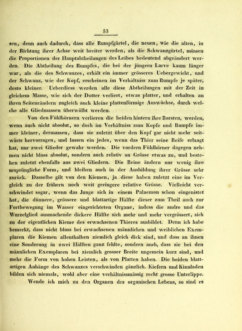 sen, denn auch dadurch, dass alle Rumpfgürtel, die neuen, Wie die alten, in der Richtung ihrer Achse weit breiter werden, als die Schwanzgürtel, müssen die Proportionen der Hauptabtheilungen des Leibes bedeutend abgeändert wer- den. Die Abtheilung des Rumpfes, die bei der jüngern Larve kaum länger war, als die des Schwanzes, erhält ein immer grösseres Uebergewicht, und der Schwanz, w ie der Kopf, erscheinen im Verhältniss zum Rumpfe je später, desto kleiner. Ueberdiess werden alle diese Abtheilungen mit der Zeit in gleichem Masse, wie sich der Dotter verliert, etwas platter, und erhalten an ihren Seitenrändern zugleich auch kleine plattenförmige Auswüchse, durch wel- che alle Gliedmassen überwölbt werden. Von den Fühlhörnern verlieren die beiden hintern ihre Borsten, werden, wenn auch nicht absolut, so doch im Verhältniss zum Kopfe und Rumpfe im- mer kleiner, dermassen, dass sie zuletzt über den Kopf gar nicht mehr seit- wärts hervorragen, und lassen ein jedes, wenn das Thier seine Reife erlangt hat, nur zwei Glieder gewahr Averden. Die vordem Fühlhörner dagegen neh- men nicht bloss absolut, sondern auch relativ an Grösse etwas zu, und beste- hen zuletzt ebenfalls aus zwei Gliedern. Die Beine ändern nur vrenig ihre ursprüngliche Form, und bleiben auch in der Ausbildung ihrer Grösse sehr zurück. Dasselbe gilt von den Kiemen, ja diese haben zuletzt eine im Ver- gleich zu der frühem noch weit geringere relative Grösse. Vielleicht ver- schwindet sogar, wenn das Junge sich in einem Palaemon schon eingenistet hat, die dünnere, grössere und blattartige Hälfte dieser zum Theil auch zur Fortbewegung im Wasser eingerichteten Organe, indess die andre und das Wurzelglied ausmachende dickere Hälfte sich mehr und mehr vergrössert, sich zu der eigentlichen Kieme des erwachsenen Thieres ausbildet. Denn ich habe bemerkt, dass nicht bloss bei erwachsenen männlichen und weiblichen Exem- plaren die Kiemen allenthalben ziemlich gleich dick sind, und dass an ihnen eine Sonderung in zwei Hälften ganz fehlte, sondern auch, dass sie bei den männlichen Exemplaren bei ziemlich grosser Breite ungemein kurz sind, und mehr die Form von hohen Leisten, als von Platten haben. Die beiden blatt- artigen Anhänge des Schwanzes verschwinden gänzlich. Kiefern und Kinnladen bilden sich niemals, wohl aber eine Verhältnissenässig recht grosse Unterlippe. Wende ich mich zu den Organen des organischen Lebens, so sind es