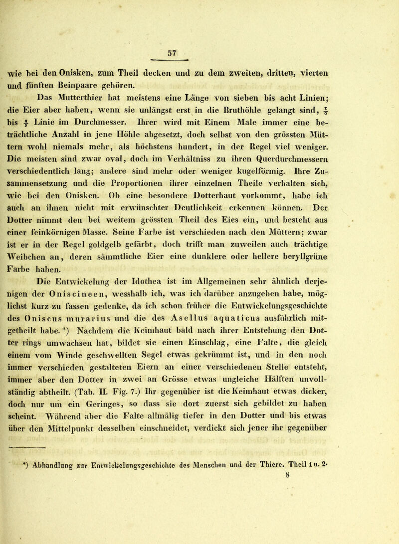 wie bei den Onisken, zum Theil decken und zu dem zweiten, dritten, vierten und fünften Beinpaare gehören. Das Mutterthier hat meistens eine Länge von sieben bis acht Linien; die Eier aber haben, wenn sie unlängst erst in die Bruthöhle gelangt sind, ■§■ bis j- Linie im Durchmesser. Ihrer wird mit Einem Male immer eine be- trächtliche Anzahl in jene Höhle abgesetzt, doch selbst von den grössten Müt- tern wohl niemals mehr, als höchstens hundert, in der Regel viel weniger. Die meisten sind zwar oval, doch im Verhältniss zu ihren Querdurchmesserii verschiedentlich lang; andere sind mehr oder weniger kugelförmig. Ihre Zu- sammensetzung und die Proportionen ihrer einzelnen Theile verhalten sich, wie bei den Onisken. Ob eine besondere Dotterhaut vorkommt, habe ich auch an ihnen nicht mit erwünschter Deutlichkeit erkennen können. Der Dotter nimmt den bei weitem grössten Theil des Eies ein, und besteht aus einer feinkörnigen Masse. Seine Farbe ist verschieden nach den Müttern; zwar ist er in der Regel goldgelb gefärbt, doch trifft man zuweilen auch trächtige Weibchen an, deren sämmtliche Eier eine dunklere oder hellere beryllgrüne Farbe haben. Die Entwickelung der Idothea ist im Allgemeinen sehr ähnlich derje- nigen der Oniscineen, wesshalb ich, was ich darüber anzugeben habe, mög- lichst kurz zu fassen gedenke, da ich schon früher die Entwickelungsgeschichte des Oniscus murarius und die des Asellus aquaticus ausführlich mit- getheilt habe. *) Nachdem die Keimhaut bald nach ihrer Entstehung den Dot- ter rings umwachsen hat, bildet sie einen Einschlag, eine Falte, die gleich einem vom Winde geschwellten Segel etwas gekrümmt ist, und in den noch immer verschieden gestalteten Eiern an einer verschiedenen Stelle entsteht, immer aber den Dotter in zwei an Grösse etwas ungleiche Hälften unvoll- ständig abtheilt. (Tab. II. Fig. 7.) Ihr gegenüber ist die Keimhaut etwas dicker, doch nur um ein Geringes, so dass sie dort zuerst sich gebildet zu haben scheint. Während aber die Falte allmälig tiefer in den Dotter und bis etwas über den Mittelpunkt desselben einschneidet, verdickt sich jener ihr gegenüber *) Abhandlung zur Entwickelungsgeschichte des Menschen und der Thiere. Theil lu. 2» 8