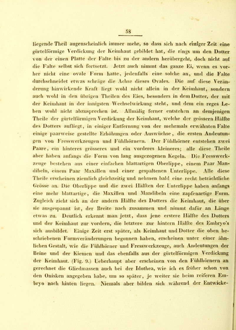 liegende Tlieil augenscheinlich immer mehr, so dass sich nach einiger Zeit eine gürtelförmige Verdickung der Keimhaut gebildet hat, die rings um den Dotter von der einen Platte der Falte bis zu der andern herübergeht, doch nicht aul die Falte selbst sich fortsetzt. Jetzt auch nimmt das ganze Ei, wenn es vor- her nicht eine ovale Form hatte, jedenfalls eine solche an, und die Falte durchschneidet etwas schräge die Achse dieses Ovales. Die auf diese Verän- derung hinwirkende Kraft liegt wohl nicht allein in der Keimhaut, sondern auch wohl in den übrigen Theilen des Eies, besonders in dem Dotter, der mit der Keimhaut in der innigsten Wechselwirkung steht, und dem ein reges Le- ben wohl nicht abzusprechen ist. Allmälig ferner entstehen an demjenigen Theile der gürtelförmigen Verdickung der Keimhaut, welche der grossem Hälfte des Dotters aufliegt, in einiger Entfernung von der mehrmals erwähnten Falte einige paarweise gestellte Erhöhungen oder Auswüchse, die ersten Andeutun- gen von FrcssWerkzeugen und Fühlhörnern. Der Fühlhörner entstehen zwei Paare, ein hinteres grösseres und ein vorderes kleineres; alle diese Theile aber haben anfangs die Form von lang ausgezogenen Kegeln. Die Frcsswerk- zeuge bestehen aus einer einfachen blattartigen Oberlippe, einem Paar Man- dibeln, einem Paar Maxillen und einer gespaltenen Unterlippe. Alle diese Theile erscheinen ziemlich gleichzeitig und nehmen bald eine recht beträchtliche Grösse an. Die Oberlippe und die zwei Hälften der Unterlippe haben anfangs eine mehr blattartige, die Maxillen und Mandibeln eine zapfenartige Form. Zugleich zieht sich an der andern Hälfte des Dotters die Keimhaut, die über sie ausgespannt ist, der Breite nach zusammen und nimmt dafür an Länge etwas zu. Deutlich erkennt man jetzt, dass jene erstere Hälfte des Dotters und der Keimhaut zur vordem, die letztere zur hintern Hälfte des Embryo’s sich ausbildet. Einige Zeit erst später, als Keimhaut und Dotter die oben be- schriebenen Form Veränderungen begonnen haben, erscheinen unter einer ähn- lichen Gestalt, wie die Fühlhörner und Fresswerkzeuge, auch Andeutungen der Beine und der Kiemen und das ebenfalls aus der gürtelförmigen Verdickung der Keimhaut. (Fig. 9.) Ueberhaupt aber erscheinen von den Fühlhörnern an gerechnet die Gliedmassen auch bei der Idothea, wie ich cs früher schon von den Onisken angegeben habe, um so später, je weiter sie beim reiferen Em- bryo nach hinten liegen. Niemals aber bilden sich während der Entwicke-