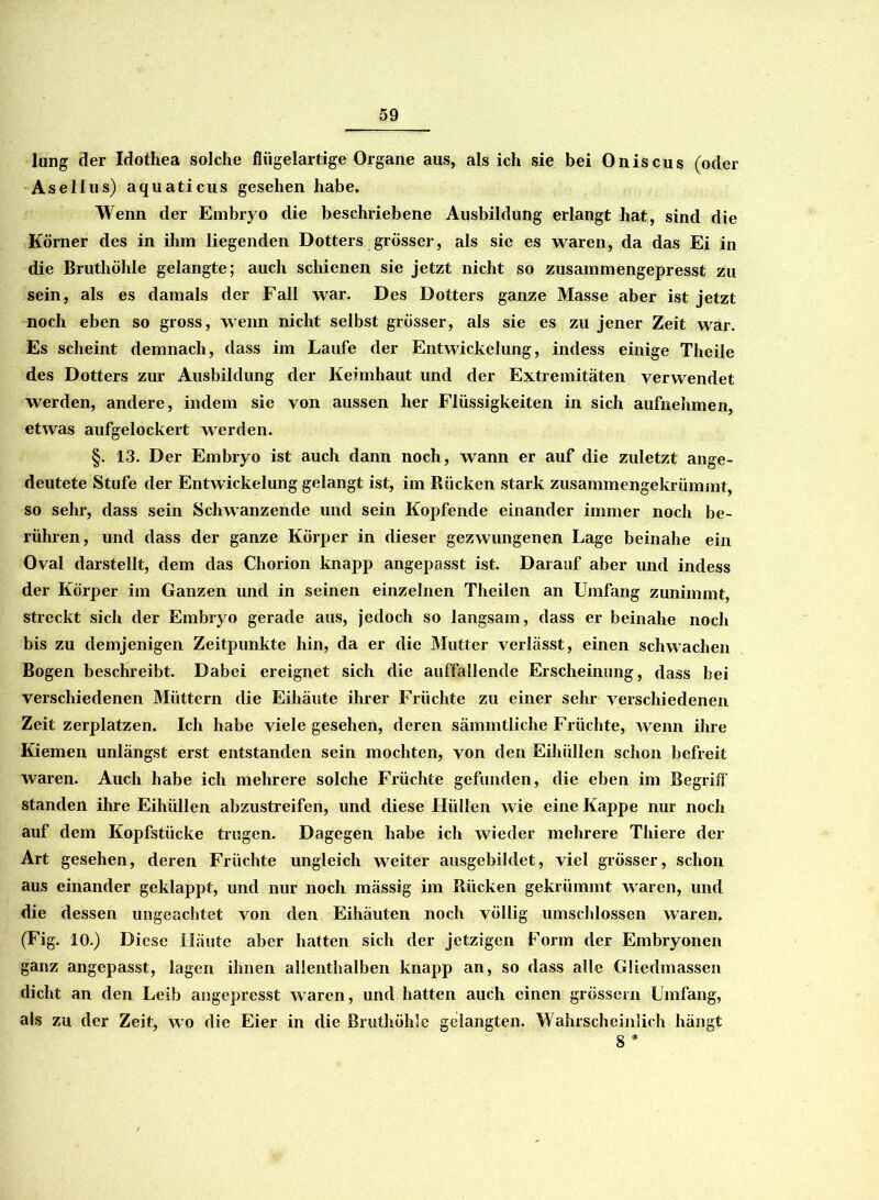 lang der Idothea solche flügelartige Organe aus, als ich sie bei Oniscus (oder Asellus) aquaticus gesehen habe» Wenn der Embryo die beschriebene Ausbildung erlangt hat, sind die Körner des in ihm liegenden Dotters grösser, als sie es waren, da das Ei in die Bruthöhle gelangte; auch schienen sie jetzt nicht so zusammengepresst zu sein, als es damals der Fall war. Des Dotters ganze Masse aber ist jetzt noch eben so gross, wenn nicht selbst grösser, als sie es zu jener Zeit war. Es scheint demnach, dass im Laufe der Entwickelung, indess einige Theile des Dotters zur Ausbildung der Keimhaut und der Extremitäten verwendet werden, andere, indem sie von aussen her Flüssigkeiten in sich aufnehmen, etwas aufgelockert werden. §. 13. Der Embryo ist auch dann noch, wann er auf die zuletzt ange- deutete Stufe der Entwickelung gelangt ist, im Rücken stark zusammengekrümmt, so sehr, dass sein Schwanzende und sein Kopfende einander immer noch be- rühren, und dass der ganze Körper in dieser gezwungenen Lage beinahe ein Oval darstellt, dem das Chorion knapp angepasst ist. Darauf aber und indess der Körper im Ganzen und in seinen einzelnen Theilen an Umfang zunimmt, streckt sich der Embryo gerade aus, jedoch so langsam, dass er beinahe noch bis zu demjenigen Zeitpunkte hin, da er die Mutter verlässt, einen schwachen Bogen beschreibt. Dabei ereignet sich die auffallende Erscheinung, dass bei verschiedenen Müttern die Eihäute ihrer Früchte zu einer sehr verschiedenen Zeit zerplatzen. Ich habe viele gesehen, deren sämmtliche Früchte, wenn ihre Kiemen unlängst erst entstanden sein mochten, von den Eihüllen schon befreit waren. Auch habe ich mehrere solche Früchte gefunden, die eben im Begriff' standen ihre Eihüllen abzustreifen, und diese Hüllen wie eine Kappe nur noch auf dem Kopfstücke trugen. Dagegen habe ich wieder mehrere Tliiere der Art gesehen, deren Früchte ungleich weiter ausgebildet, viel grösser, schon aus einander geklappt, und nur noch mässig im Rücken gekrümmt waren, und die dessen ungeachtet von den Eihäuten noch völlig umschlossen waren. (Fig. 10.) Diese Häute aber hatten sich der jetzigen Form der Embryonen ganz angepasst, lagen ihnen allenthalben knapp an, so dass alle Gliedmassen dicht an den Leib angepresst waren, und hatten auch einen grossem Umfang, als zu der Zeit, wo die Eier in die Bruthöhle gelangten. Wahrscheinlich hängt 8 *