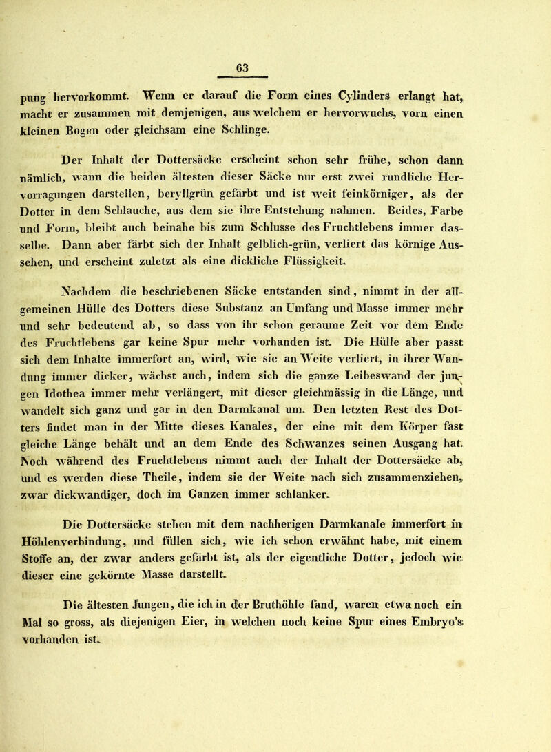 pung hervorkommt. Wenn er darauf die Form eines Cylinders erlangt hat, macht er zusammen mit demjenigen, aus welchem er hervorwuchs, vorn einen Meinen Bogen oder gleichsam eine Schlinge. Der Inhalt der Dottersäcke erscheint schon sehr frühe, schon dann nämlich, wann die beiden ältesten dieser Säcke nur erst zwei rundliche Ller- vorragungen darstellen, beryllgrün gefärbt und ist Aveit feinkörniger, als der Dotter in dem Schlauche, aus dem sie ihre Entstehung nahmen. Beides, Farbe und Form, bleibt auch beinahe bis zum Schlüsse des Fruchtlebens immer das- selbe. Dann aber färbt sich der Inhalt gelblich-grün, verliert das körnige Aus- sehen, und erscheint zuletzt als eine dickliche Flüssigkeit. Nachdem die beschriebenen Säcke entstanden sind, nimmt in der all- gemeinen Hülle des Dotters diese Substanz an Umfang und Masse immer mehr und sehr bedeutend ab, so dass von ihr schon geraume Zeit vor dem Ende des Fruchtlebens gar keine Spur mehr vorhanden ist. Die Hülle aber passt sich dem Inhalte immerfort an, wird, wie sie an Weite verliert, in ihrer Wan- dung immer dicker, wächst auch, indem sich die ganze Leibeswand der jun- gen Idothea immer mehr verlängert, mit dieser gleichmässig in die Länge, und wandelt sich ganz und gar in den Darmkanal um. Den letzten Rest des Dot- ters findet man in der Mitte dieses Kanales, der eine mit dem Körper fast gleiche Länge behält und an dem Ende des Schwanzes seinen Ausgang hat. Noch während des Fruchtlebens nimmt auch der Inhalt der Dottersäcke ab, imd es werden diese Theile, indem sie der Weite nach sich zusammenziehen, zwar dickwandiger, doch im Ganzen immer schlanker. Die Dottersäcke stehen mit dem nachherigen Darmkanale Immerfort in Höhlenverbindung, und füllen sich, wie ich schon erwähnt habe, mit einem Stoffe an, der zwar anders gefärbt ist, als der eigentliche Dotter, jedoch wie dieser eine gekörnte Masse darstellt. Die ältesten Jungen, die ich in der Bruthöhle fand, waren etwa noch ein Mal so gross, als diejenigen Eier, in welchen noch keine Spur eines Embryo’® vorhanden ist.