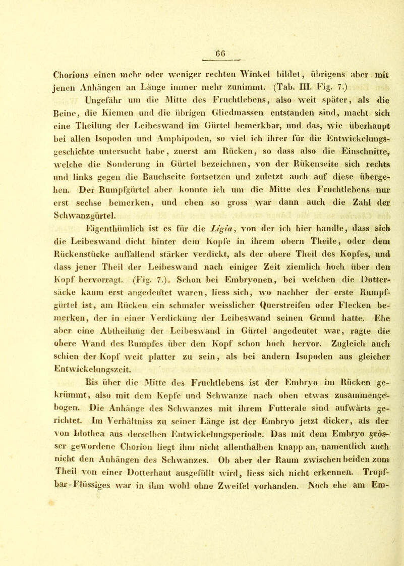 G6 Chorions einen mehr oder weniger rechten Winkel bildet, übrigens aber mit jenen Anhängen an Länge immer mehr zunimmt. (Tab. III. Fig. 7.) Ungefähr um die Mitte des Fruchtlebens, also weit später, als die Beine, die Kiemen und die übrigen Gliedmassen entstanden sind, macht sich eine Theilung der Leibeswand im Gürtel bemerkbar, und das, wie überhaupt bei allen Isopoden und Amphipoden, so viel ich ihrer für die Entwickelungs- geschichte untersucht habe, zuerst am Rücken, so dass also die Einschnitte, welche die Sonderung in Gürtel bezeichnen, von der Riikenseite sich rechts und links gegen die Bauchseite fortsetzen und zidetzt auch auf diese überge- hen. Der Rumpfgürtel aber konnte ich um die Mitte des Fruchtlebens nur erst sechse bemerken, und eben so gross war dann auch die Zahl der Schwanzgürtel. Eigenthümlich ist es für die Ligta, von der ich hier handle, dass sich die Leibes wand dicht hinter dem Kopfe in ihrem obern Theile, oder dem Rückenstücke auffallend stärker verdickt, als der obere Theil des Kopfes, und dass jener Theil der Leibeswand nach einiger Zeit ziemlich hoch über den Kopf hervorragt. (Fig. 7.). Schon bei Embryonen, bei welchen die Dotter- säcke kaum erst angedeutet waren, licss sich, wo nachher der erste Rumpf- gürtel ist, am Rücken ein schmaler weisslicher Querstreifen oder Flecken be- merken, der in einer Verdickung der Leibeswand seinen Grund hatte. Ehe aber eine Abtheilung der Leibeswand in Gürtel angedeutet war, ragte die obere Wand des Rumpfes über den Kopf schon hoch hervor. Zugleich auch schien der Kopf weit platter zu sein, als bei andern Isopoden aus gleicher Entwickelungszeit. Bis über die Mitte des Fruchtlcbens ist der Embryo im Rücken ge- krümmt, also mit dem Kopfe und Schwänze nach oben etwas zusammenge- bogen. Die Anhänge des Schwanzes mit ihrem Futterale sind aufwärts ge- richtet. Im Verhältniss zu seiner Länge ist der Embryo jetzt dicker, als der von Idothea aus derselben Entwickelungsperiode. Das mit dem Embryo grös- ser gewordene Chorion liegt ihm nicht allenthalben knapp an, namentlich auch nicht den Anhängen des Schwanzes. Ob aber der Raum zwischen beiden zum Theil von einer Dotterhaut ausgefüllt wird, liess sich nicht erkennen. Tropf- bar-Flüssiges war in ihm wohl ohne Zweifel vorhanden. Noch ehe am Em-