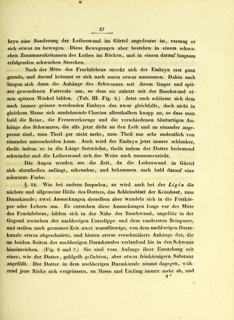 bryo eine Sonderung der Leibeswand im Gürtel angedeutet ist, vermag er sich etwas zu bewegen. Diese Bewegungen aber bestehen in einem schwa- chen Zusammenkrümmen des Leibes im Rücken, und in einem darauf langsam erfolgenden schwachen Strecken. Nach der Mitte des Fruchtlebens streckt sich der Embryo erst ganz gerade, und darauf krümmt er sich nach unten etwas zusammen. Dahin auch biegen sich dann die Anhänge des Schwanzes mit ihrem länger und spit- zer gewordenen Futterale um, so dass sie zuletzt mit der Bauch wand ei- nen spitzen Winkel bilden. (Tab. III. Fig. 8.) Jetzt auch schliesst sich dem noch immer grösser werdenden Embryo das zwar gleichfalls, doch nicht in gleichem Masse sich ausdehnende Chorion allenthalben knapp an, so dass man bald die Beine, die FressWerkzeuge und die verschiedenen blattartigen An- hänge des Schwanzes, die alle jetzt dicht an den Leib und an einander ange- presst sind, zum Theil gar nicht mehr, zum Theil nur sehr undeutlich von einander unterscheiden kann. Auch wird der Embryo jetzt immer schlanker, theils indem er in die Länge fortwächst, theils indem der Dotter bedeutend schwindet und die Leibeswand sich der Weite nach zusammenzieht. Die Augen werden um die Zeit, da die Leibeswand in Gürtel sich abzutheilen anfängt, erkennbar, und bekommen auch bald darauf eine schwarze Farbe. §. 18. Wie bei andern Isopoden, so wird auch bei der Ligia die nächste und allgemeine Hülle des Dotters, das Schleimblatt der Keimhaut, zum Darmkanale; zwei Aussackungen derselben aber wandeln sich in die Fettkör- per oder Lebern um. Es entstehen diese Aussackungen lange vor der Mitte des Fruchtlebens, bilden sich in der Nähe der Bauchwand, ungefähr in der Gegend zwischen der nachherigen Unterlippe und dem vordersten Beinpaare, und stellen nach geraumer Zeit zwei wurstförmige, von dem nachherigen Darm- kanale etwas abgeschnürte, und hinten etwas verschmälerte Anhänge dar, die an beiden Seiten des nachherigen Darmkanales verlaufend bis in den Schwanz hineinreichen. (Fig. 6 und 7.) Sie sind vom Anfänge ihrer Entstehung mit einer, wie der Dotter, goldgelb gefärbten, aber etwas feinkörnigem Substanz angefüllt. Der Dotter in dem nachherigen Darmkanale nimmt dagegen, wäh- rend jene Säcke sich vergrössern, an Masse und Umfang immer mehr ab, und