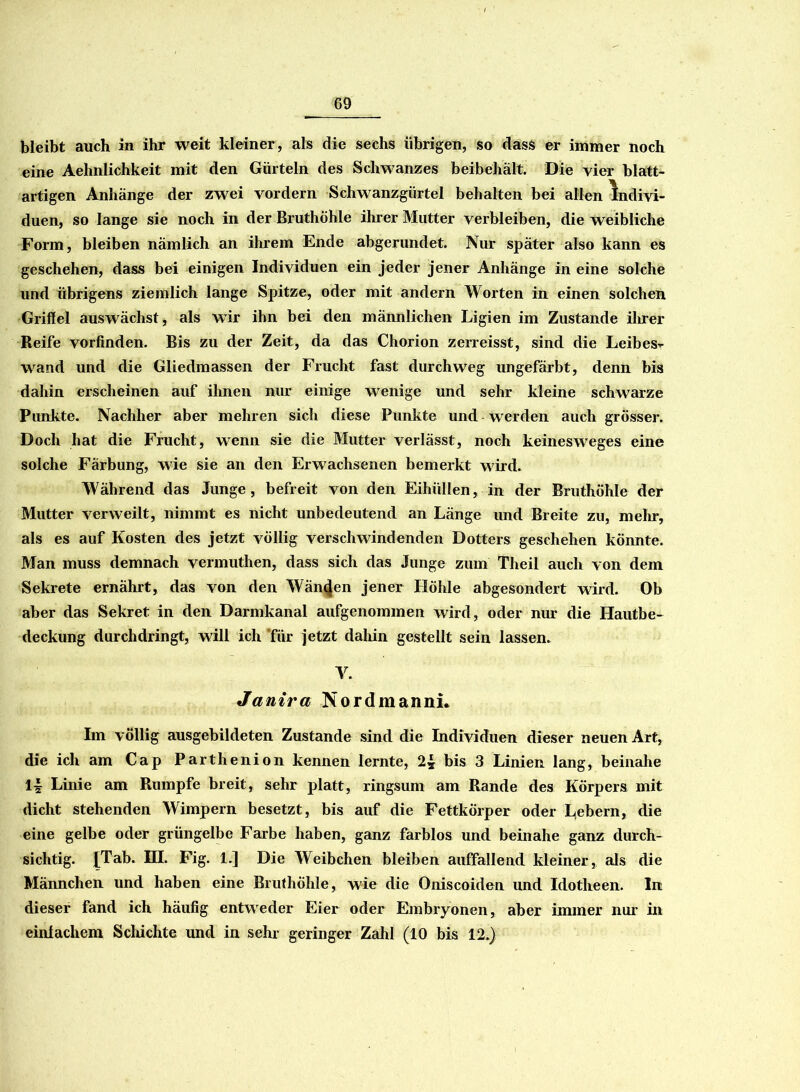 bleibt auch in ihr weit kleiner, als die sechs übrigen, so dass er immer noch eine Aehnlichkeit mit den Gürteln des Schwanzes beibehält. Die vier blatt- artigen Anhänge der zwei vordem Schwanzgürtel behalten bei allen Indivi- duen, so lange sie noch in der Bruthöhle ihrer Mutter verbleiben, die weibliche Form, bleiben nämlich an ihrem Ende abgerundet. Nur später also kann es geschehen, dass bei einigen Individuen ein jeder jener Anhänge in eine solche und übrigens ziemlich lange Spitze, oder mit andern Worten in einen solchen Griffel auswächst, als wir ihn bei den männlichen Ligien im Zustande ilrrer Reife vorfinden. Bis zu der Zeit, da das Chorion zerreisst, sind die Leibes- wand und die Gliedmassen der Frucht fast durchweg ungefärbt, denn bis dahin erscheinen auf ihnen nur einige wenige und sehr kleine schwarze Punkte. Nachher aber mehren sich diese Punkte und werden auch grösser. Doch hat die Frucht, wenn sie die Mutter verlässt, noch keinesweges eine solche Färbung, wie sie an den Erwachsenen bemerkt wird. Während das Junge, befreit von den Eihüllen, in der Bruthöhle der Mutter verweilt, nimmt es nicht unbedeutend an Länge und Breite zu, mehr, als es auf Kosten des jetzt völlig verschwindenden Dotters geschehen könnte. Man muss demnach vermuthen, dass sich das Junge zum Theil auch von dem Sekrete ernährt, das von den Wänden jener Ilöhle abgesondert wird. Ob aber das Sekret in den Darmkanal aufgenommen wird, oder nur die Hautbe- deckung durchdringt, will ich 'für jetzt dahin gestellt sein lassen. Y. Janira NordmannL Im völlig ausgebildeten Zustande sind die Individuen dieser neuen Art, die ich am Cap Parthenion kennen lernte, 2* bis 3 Linien lang, beinahe If Linie am Rumpfe breit, sehr platt, ringsum am Rande des Körpers mit dicht stehenden Wimpern besetzt, bis auf die Fettkörper oder Lebern, die eine gelbe oder grüngelbe Farbe haben, ganz farblos und beinahe ganz durch- sichtig. [Tab. HI. Fig. 1.] Die Weibchen bleiben auffallend kleiner , als die Männchen und haben eine Bruthöhle, wie die Oniscoiden und Idotheen. In dieser fand ich häufig entweder Eier oder Embryonen, aber immer nur in einfachem Schichte und in sehr geringer Zahl (10 bis 12.)
