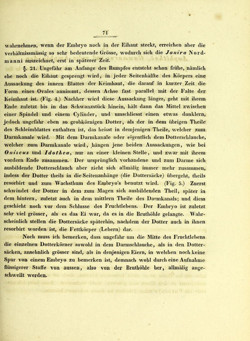 wahrnehmen, wenn der Embryo noch in der Eihaut steckt, erreichen aber die verhältnissmässig so sehr bedeutende Grösse, wodurch sich die Jantra Nord- manni auszeichnet, erst in späterer Zeit. §. 21. Ungefähr am Anfänge des Rumpfes entsteht schon frühe, nämlich ehe noch die Eihaut gesprengt wird, in jeder Seitenhälfte des Körpers eine Aussackung des innern Blattes der Keimhaut, die darauf in kurzer Zeit die Form eines Ovales annimmt, dessen Achse fast parallel mit der Falte der Keimhaut ist. (Fig. 4.) Nachher wird diese Aussackung länger, geht mit ihrem Ende zuletzt bis in das Schwanzstück hinein, hält dann das Mittel zwischen einer Spindel und einem Cylinder, und umschliesst einen etwas dunklern, jedoch ungefähr eben so grobkörnigen Dotter, als der in dem übrigen Theile des Schleimblattes enthalten ist, das heisst in demjenigen Theile, welcher zum Darmkanale wird. Mit dem Darmkanale oder eigentlich dem Dotterschlauche, welcher zum Darmkanale wird, hängen jene beiden Aussackungen, wie bei Otiiscus und Idothea, nur an einer kleinen Stelle, und zwar mit ihrem vordem Ende zusammen. Der ursprünglich vorhandene und zum Darme sich ausbildende Dotterschlauch aber zieht sich allmälig immer mehr zusammen, indess der Dotter theils in die Seitenanhänge (die Dottersäcke) übergeht, theils resorbirt und zum Wachsthum des Embryo’s benutzt wird. (Fig. 5.) Zuerst schwindet der Dotter in dem zum Magen sich ausbildenden Theil, später in dem hintern, zuletzt auch in dem mittlern Theile des Darmkanals; und diess geschieht noch vor dem Schlüsse des Fruchtlebens. Der Embryo ist zuletzt sehr viel grösser, als es das Ei war, da es in die Bruthöhle gelangte. Wahr- scheinlich stellen die Dottersäcke späterhin, nachdem der Dotter auch in ihnen resorbirt worden ist, die Fettkörper (Lebern) dar. Noch muss ich bemerken, dass ungefähr um die Mitte des Fruchtlebens die einzelnen Dotterkörner sowohl in dem Dannschlauche, als in den Dotter- säcken, ansehnlich grösser sind, als in denjenigen Eiern, in welchen noch keine Spur von einem Embryo zu bemerken ist, demnach wohl durch eine Aufnahme flüssigerer Stoffe von aussen, also von der Bruthöhle her, allmälig ange- schwellt werden.