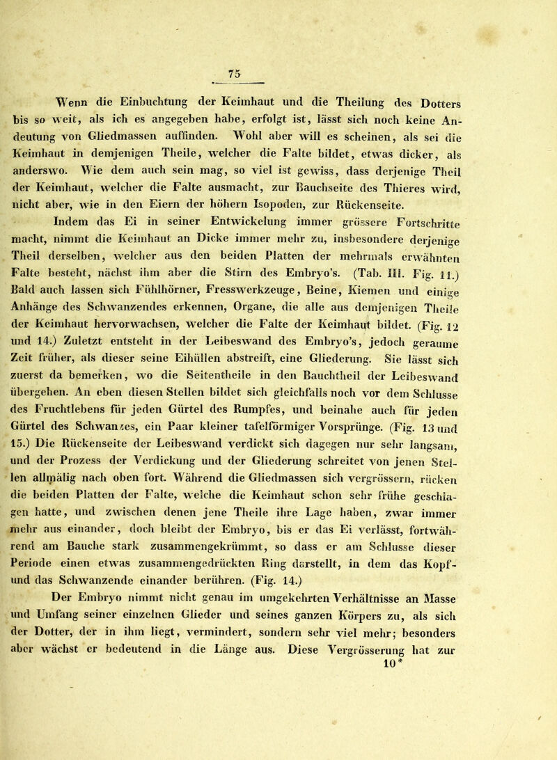 Wenn die Einbuchtung der Keimhaut und die Theilung des Dotters bis so weit, als ich es angegeben habe, erfolgt ist, lässt sich noch keine An- deutung von Gliedmassen auffinden. Wohl aber will es scheinen, als sei die Keimhaut in demjenigen Theile, welcher die Falte bildet, etwas dicker, als anderswo. Wie dem auch sein mag, so viel ist gewiss, dass derjenige Theil der Keimhaut, welcher die Falte ausmacht, zur Bauchseite des Thieres wird, nicht aber, wie in den Eiern der höhern Isopoden, zur Rückenseite. Indem das Ei in seiner Entwickelung immer grössere Fortschritte macht, nimmt die Keimhaut an Dicke immer mehr zu, insbesondere derjenige Theil derselben, welcher aus den beiden Platten der mehrmals erwähnten Falte besteht, nächst ihm aber die Stirn des Embryo’s. (Tab. III. Fig. n.) Bald auch lassen sich Fühlhörner, Fresswerkzeuge, Beine, Kiemen und einige Anhänge des Schwanzendes erkennen, Organe, die alle aus demjenigen Theile der Keimhaut hervorwachsen, welcher die Falte der Keimhaut bildet. (Fig. 12 und 14.) Zuletzt entsteht in der Leibeswand des Embryo’s, jedoch geraume Zeit früher, als dieser seine Eihüllen abstreift, eine Gliederung. Sie lässt sich zuerst da bemerken, wo die Seitentheile in den Bauchtheil der Leibeswand übergehen. An eben diesen Stellen bildet sich gleichfalls noch vor dem Schlüsse des Fruchtlebens für jeden Gürtel des Rumpfes, und beinahe auch für jeden Gürtel des Schwanzes, ein Paar kleiner tafelförmiger Vorsprünge. (Fig. 13 und 15.) Die Rückenseite der Leibes wand verdickt sich dagegen nur sehr langsam, und der Prozess der Verdickung und der Gliederung schreitet von jenen Stel- len allmälig nach oben fort. Während die Gliedmassen sich vergrössern, rücken die beiden Platten der Falte, welche die Keimhaut schon sehr frühe geschla- gen hatte, und zwischen denen jene Theile ihre Lage haben, zwar immer mehr aus einander, doch bleibt der Embryo, bis er das Ei verlässt, fortwäh- rend am Bauche stark zusammengekrümmt, so dass er am Schlüsse dieser Periode einen etwas zusammengedrückten Ring dsrstellt, in dem das Kopf- und das Schwanzende einander berühren. (Fig. 14.) Der Embryo nimmt nicht genau im umgekehrten Verhältnisse an Masse und Umfang seiner einzelnen Glieder und seines ganzen Körpers zu, als sich der Dotter, der in ihm liegt, vermindert, sondern sehr viel mehr; besonders aber wächst er bedeutend in die Länge aus. Diese Vergrösserung hat zur 10*
