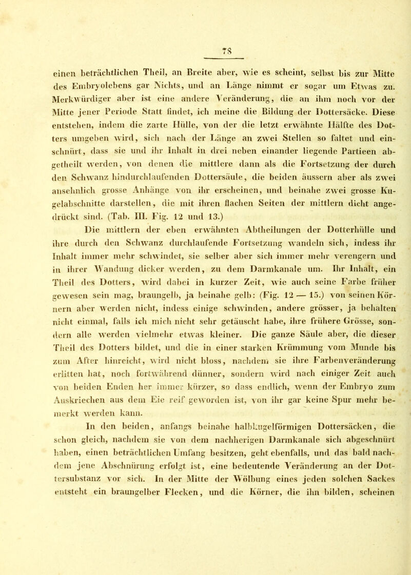 einen beträchtlichen Theil, an Breite aber, wie es scheint, selbst bis zur Mitte des Embryolebens gar Nichts, und an Lange nimmt er sogar um Etwas zu. Merkwürdiger aber ist eine andere Veränderung, die an ihm noch vor der Mitte jener Periode Statt findet, ich meine die Bildung der Dottersäcke. Diese entstehen, indem die zarte Hülle, von der die letzt erwähnte Hälfte des Dot- ters umgeben wird, sich nach der Länge an zwei Stellen so faltet und ein- schniirt, dass sie und ihr Inhalt in drei neben einander liegende Partieen ab- gethcilt werden, von denen die mittlere dann als die Fortsetzung der durch den Schwanz hindurchlaufenden Dottersäule, die beiden äussern aber als zwei ansehnlich grosse Anhänge von ihr erscheinen, und beinahe zwei grosse Ku- gelabschnitte darstellcn, die mit ihren flachen Seiten der mittlern dicht ange- drückt sind. (Tab. III. Fig. 12 und 13.) Die mittlern der eben erwähnten Abtheilungen der Dotterhülle und ihre durch den Schwanz durchlaufende Fortsetzung wandeln sich, indess ihr Inhalt immer mehr schwindet, sie selber aber sich immer mehr verengern und in ihrer Wandung dicker werden, zu dem Darmkanale um. Ihr Inhalt, ein Theil des Dotters, wird dabei in kurzer Zeit, wie auch seine Farbe früher gewesen sein mag, braungelb, ja beinahe gelb: (Fig. 12 — 15.) von seinen Kör- nern aber Averden nicht, indess einige schwinden, andere grösser, ja behalten nicht einmal, falls ich mich nicht sehr getäuscht habe, ihre frühere Grösse, son- dern alle werden vielmehr etwas kleiner. Die ganze Säule aber, die dieser Theil des Dotters bildet, und die in einer starken Krümmung vom Munde bis zum After hinreicht, wird nicht bloss, nachdem sie ihre Farbenveränderung erlitten hat, noch fortwährend dünner, sondern wird nach einiger Zeit auch von beiden Enden her immer kürzer, so dass endlich, wenn der Embryo zum Äuskriechen aus dem Eie reif geworden ist, von ihr gar keine Spur mehr be- merkt werden kann. In den beiden, anfangs beinahe halbkugelförmigen Dottersäcken, die schon gleich, nachdem sie von dem nachherigen Darmkanale sich abgeschnürt haben, einen beträchtlichen Umfang besitzen, geht ebenfalls, und das bald nach- dem jene Abschnürung erfolgt ist, eine bedeutende Veränderung an der Dot- tersubstanz vor sich. In der Mitte der Wölbung eines jeden solchen Sackes entsteht ein braungelber Flecken, und die Körner, die ihn bilden, scheinen