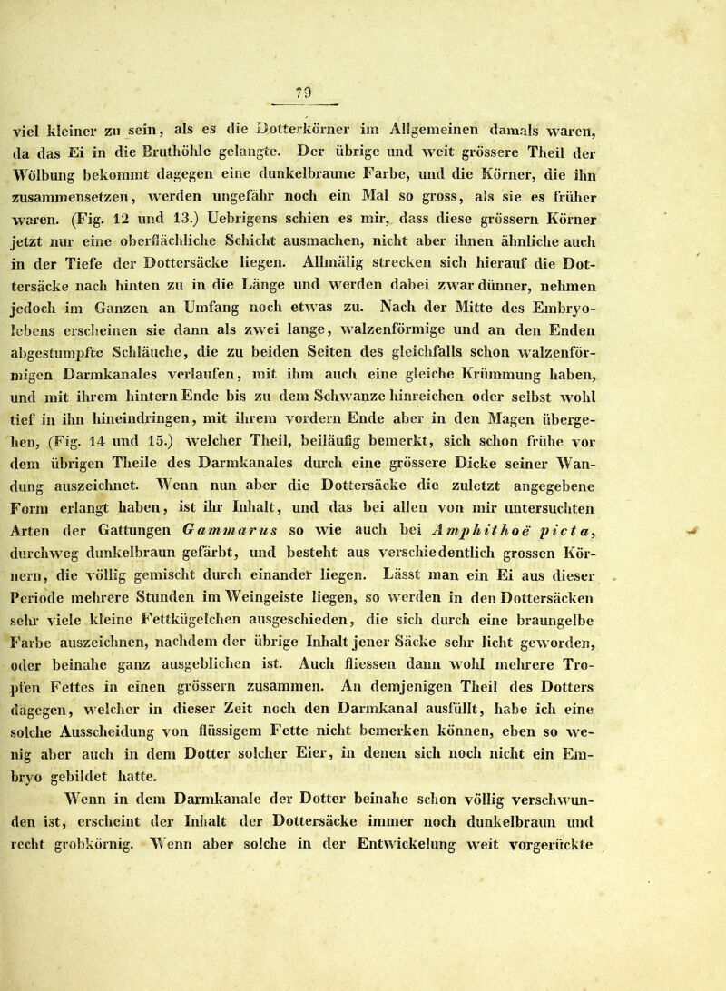 70 viel kleiner zu sein, als es die Dotterkörner im Allgemeinen damals waren, da das Ei in die Brutliölile gelangte. Der übrige und weit grössere Theil der Wölbung bekommt dagegen eine dunkelbraune Farbe, und die Körner, die ihn zusammensetzen, werden ungefähr noch ein Mal so gross, als sie es früher waren. (Fig. 12 und 13.) Uebrigens schien es mir, dass diese grossem Körner jetzt nur eine oberflächliche Schicht ausmachen, nicht aber ihnen ähnliche auch in der Tiefe der Dottersäcke liegen. Allmälig strecken sich hierauf die Dot- tersäcke nach hinten zu in die Länge und w erden dabei zwar dünner, nehmen jedoch im Ganzen an Umfang noch etwas zu. Nach der Mitte des Embryo- lebens erscheinen sie dann als zwei lange, walzenförmige und an den Enden abgestumpfte Schläuche, die zu beiden Seiten des gleichfalls schon walzenför- migen Darmkanales verlaufen, mit ihm auch eine gleiche Krümmung haben, und mit ihrem hintern Ende bis zu dem Schw änze hinreichen oder selbst wohl tief in ihn hineindringen, mit ihrem vordem Ende aher in den Magen überge- hen, (Fig. 14 und 15.) welcher Theil, beiläufig bemerkt, sich schon frühe vor dem übrigen Theile des Darmkanales durch eine grössere Dicke seiner Wan- dung auszeichnet. Wenn nun aber die Dotfersäcke die zuletzt angegebene Form erlangt haben, ist ihr Inhalt, und das bei allen von mir untersuchten Arten der Gattungen Gammarus so wie auch bei A mphithoe pi<ctay durchweg dunkelbraun gefärbt, und besteht aus verschiedentlich grossen Kör- nern, die völlig gemischt durch einander liegen. Lässt man ein Ei aus dieser Periode mehrere Stunden im Weingeiste liegen, so w erden in den Dottersäcken sein* viele kleine Fettkügelchen ausgeschieden, die sich durch eine braungelbe Farbe auszeichnen, nachdem der übrige Inhalt jener Säcke sehr licht gew orden, oder beinahe ganz ausgeblichen ist. Auch fliessen dann wohl mehrere Tro- pfen Fettes in einen grossem zusammen. An demjenigen Theil des Dotters dagegen, welcher in dieser Zeit noch den Darmkanal ausfüllt, habe ich eine solche Ausscheidung von flüssigem Fette nicht bemerken können, eben so we- nig aber auch in dem Dotter solcher Eier, in denen sich noch nicht ein Em- bryo gebildet hatte. Wenn in dem Darmkanale der Dotter beinahe schon völlig verschwen- den ist, erscheint der Inhalt der Dottersäcke immer noch dunkelbraun und recht grobkörnig. Wenn aber solche in der Entwickelung weit vorgerückte