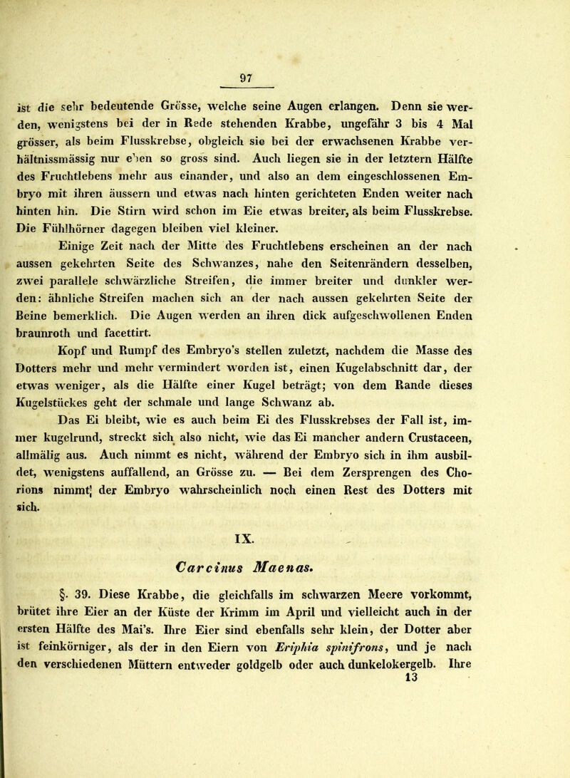 ist die sehr bedeutende Grösse, welche seine Augen erlangen. Denn sie wer- den, wenigstens bei der in Rede stehenden Krabbe, ungefähr 3 bis 4 Mal grösser, als beim Flusskrebse, obgleich sie bei der erwachsenen Krabbe ver- hältnissmässig nur eben so gross sind. Auch liegen sie in der letztem Hälfte des Fruchtlebens mehr aus einander, und also an dem eingeschlossenen Em- bryo mit ihren äussern und etwas nach hinten gerichteten Enden weiter nach hinten hin. Die Stirn wird schon im Eie etwas breiter, als beim Flusskrebse. Die Fühlhörner dagegen bleiben viel kleiner. Einige Zeit nach der Mitte des Fruchtlebens erscheinen an der nach aussen gekehrten Seite des Schwanzes, nahe den Seitenrändern desselben, zwei parallele schwärzliche Streifen, die immer breiter und dunkler wer- den: ähnliche Streifen machen sich an der nach aussen gekehrten Seite der Beine bemerklich. Die Augen werden an ihren dick aufgeschwollenen Enden braunroth und facettirt. Kopf und Rumpf des Embryo’s stellen zuletzt, nachdem die Masse des Dotters mehr und mehr vermindert worden ist, einen Kugelabschnitt dar, der etwas weniger, als die Hälfte einer Kugel beträgt; von dem Rande dieses Kugelstückes geht der schmale und lange Schwanz ab. Das Ei bleibt, wie es auch beim Ei des Flusskrebses der Fall ist, im- mer kugelrund, streckt sich also nicht, wie das Ei mancher andern Crustaceen, allmälig aus. Auch nimmt es nicht, während der Embryo sich in ihm ausbil- det, wenigstens auffallend, an Grösse zu. — Bei dem Zersprengen des Cho- rions nimmt- der Embryo wahrscheinlich noch einen Rest des Dotters mit sich. IX. Carcinus Mctenas. §• 39. Diese Krabbe, die gleichfalls im schwarzen Meere vorkommt, brütet ihre Eier an der Küste der Krimm im April und vielleicht auch in der ersten Hälfte des Mai’s. Ihre Eier sind ebenfalls sehr klein, der Dotter aber ist feinkörniger, als der in den Eiern von Eripliia spinifrons, und je nach den verschiedenen Müttern entweder goldgelb oder auch dunkelokergelb. Ihre