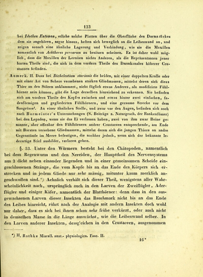 bei Idothea Entomon, etliche solche Platten über die Oberfläche des Darmstückes dem sie angehören, sogar hinaus, heften sich beweglich an die Leibeswand an, und zeigen sonach eine ähnliche Lagerung und Verbindung, wie sie die Maxillen namentlich von Achlheres percarum zu besitzen scheinen. Es ist daher wohl mög- lich , dass die Maxillen der Lernäen nichts Anderes, als die Repräsentanten jener harten Theile sind, die sich in dem vordem Theile des Darmkanales höherer Cru- staceen befinden. Anmerk. II. Dass bei Dichelestium sturionis die beiden, mit einer doppelten Kralle oder mit einer Art von Schere versehenen starken Gliedmassen, mittelst deren sich diess Thier an den Stören anklammert, nicht füglich etwas Anderes, als modificirte Fühl- hörner sein können, gibt die Lage derselben hinreichend zu erkennen. Sie befinden sich am vordem Theile des Kopfes zwischen und etwas hinter zwei einfachen, fa- denförmigen und gegliederten Fühlhörnern, und eine geraume Strecke vor dem Saugrüsse1. An einer ähnlichen Stelle, und zwar vor den Augen, befinden sich auch nach Burmeister’s Untersuchungen (S. Beiträge z. Naturgesch. der Rankenfüsser) bei denLepaden, wenn sie das Ei verlassen haben, zwei von ihm zwar Beine ge- nannte, aber offenbar den Fühlhörnern andrer Crustaceen entsprechende, am Ende mit Borsten versehene Gliedmassen, mittelst deren sich die jungen Thiere an andre Gegenstände im Meere befestigen, die nachher jedoch, wenn sich der bekannte le- derartige Stiel ausbildet, verloren gehen. §. 53. Unter den Würmern besteht bei den Chätopoden, namentlich bei dem Regenwurm und den Nereiden, der Haupttheil des Nervensystems aus 2 dicht neben einander liegenden und in einer gemeinsamen Scheide ein- geschlossenen Stränge, die vom Kopfe bis an das Ende des Körpers sich er- strecken und in jedem Gliede nur sehr massig, mitunter kaum merklich an- geschwollen sind. *) Aehnlich verhält sich dieser Theil, wenigstens aller Wahr- scheinlichkeit nach, ursprünglich auch in den Larven der Zweiflügler, Ader- flügler lind einiger Käfer, namentlich der Blatthörner: denn dass in den aus- gewachsenen Larven dieser Insekten das Bauchmark nicht bis an das Ende des Leibes hinreicht, rührt nach der Analogie mit andern Insekten doch wohl nur daher, dass es sich bei ihnen schon sehr frühe verkürzt, oder auch nicht in demselben Masse in die Länge auswächst, wie die Leibeswand selber. In den Larven anderer Insekten, dessgleichen in den Crustaceen, ausgenommen *) H. Rathke Miscell. anat.- physiologica. Fase. II. 16