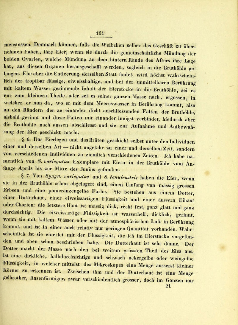 menstossen. Demnach können, falls die Weibchen Selber das Geschäft zu über- nehmen haben, ihre Eier, wenn sie durch die gemeinschaftliche Mündung der beiden Ovarien, welche Mündung an dem hintern Rande des Afters ihre Lage hat, aus diesen Organen herausgeschafft werden, sogleich in die Bruthöhle ge- langen. Ehe aber die Entleerung derselben Statt findet, wird höchst wahrschein- lich der tropfbar flüssige, eiweisshaltige, und bei der unmittelbaren Berührung mit kaltem Wasser gerinnende Inhalt der Eierstöcke in die Bruthöhle, sei es nur zum kleinern Theile oder sei es seiner ganzen Masse nach, ergossen, in welcher er nun da, wo er mit dem Meereswasser in Berührung kommt, also an den Rändern der an einander dicht anschliessenden Falten der Bruthöhle, alsbald gerinnt und diese Falten mit einander innigst verbindet, hiedurch aber die Bruthöhle nach aussen abschliesst und sie zur Aufnahme und Aufbewah- rung der Eier geschickt macht. § 6. Das Eierlegen und das Brüten geschieht selbst unter den Individuen einer und derselben Art — nicht ungefähr zu einer und derselben Zeit, sondern von verschiedenen Individuen zu ziemlich verschiedenen Zeiten. Ich habe na- mentlich von S. variegatus Exemplare mit Eiern in der Bruthöhle vom An- fänge Aprils bis zur Mitte des Junius gefunden. § 7, Von Syngn. variegatus und 8. tenuirostris haben die Eier, wenn sie in der Bruthöhle schon abgelagert sind, einen Umfang von mässig grossen Erbsen und eine pomeranzengelbe Farbe. Sie bestehen aus einem Dotter, einer Dotterhaut, einer eiweissartigen Flüssigkeit und einer äussern Eihaut oder Chorion: die letztere Haut ist mässig dick, recht fest, ganz glatt und ganz durchsichtig. Die eiweissartige Flüssigkeit ist wasserhell, dicklich, gerinnt, wenn sie mit kaltem Wasser oder mit der atmosphärischen Luft in Berührung kommt, und ist in einer auch relativ nur geringen Quantität vorhanden. Wahr- scheinlich ist sie einerlei mit der Flüssigkeit, die ich im Eierstocke vorgefun- den und oben schon beschrieben habe. Die Dotterhaut ist sehr dünne. Der Dotter macht der Masse nach den bei weitem grössten Theil des Eies aus, ist eine dickliche, halbdurchsichtige und schwach ockergelbe oder weingelbe Flüssigkeit, in welcher mittelst des Mikroskopes eine Menge äusserst kleiner Körner zu erkennen ist. Zwischen ihm und der Dotterhaut ist eine Menge gelbrother, linsenförmiger, zwar verschiedentlich grosser, doch im Ganzen nur 21
