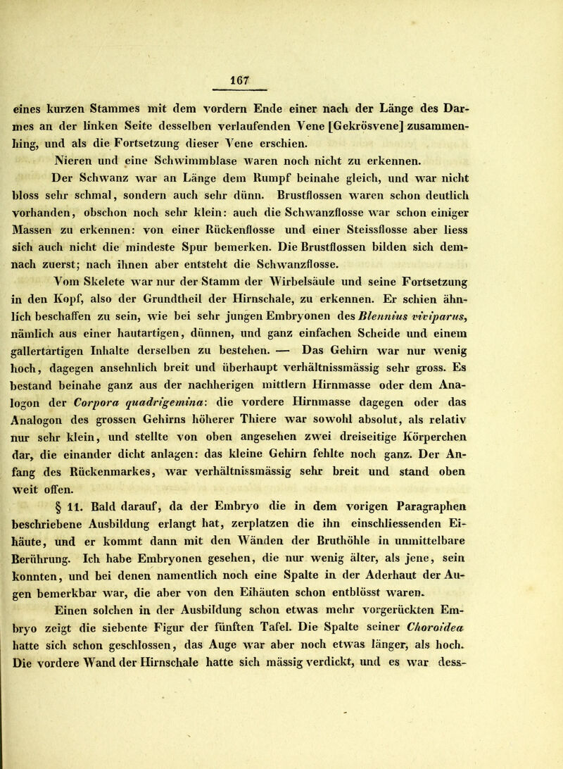 eines kurzen Stammes mit dem vordem Ende einer nach der Länge des Dar- mes an der linken Seite desselben verlaufenden Vene [Gekrösvene] zusammen- hing, und als die Fortsetzung dieser Vene erschien. Nieren und eine Schwimmblase waren noch nicht zu erkennen. Der Schwanz war an Länge dem Rumpf beinahe gleich, und war nicht bloss sehr schmal, sondern auch sehr dünn. Brustflossen waren schon deutlich vorhanden, obschon noch sehr klein: auch die Schwanzflosse war schon einiger Massen zu erkennen: von einer Rückenflosse und einer Steissflosse aber liess sich auch nicht die mindeste Spur bemerken. Die Brustflossen bilden sich dem- nach zuerst; nach ihnen aber entsteht die Schwanzflosse. Vom Skelete war nur der Stamm der Wirbelsäule und seine Fortsetzung in den Kopf, also der Grundtheil der Hirnschale, zu erkennen. Er schien ähn- lich beschaffen zu sein, wie bei sehr jungen Embryonen des Blennius viviparus, nämlich aus einer hautartigen, dünnen, und ganz einfachen Scheide und einem gallertartigen Inhalte derselben zu bestehen. — Das Gehirn war nur wenig hoch, dagegen ansehnlich breit und überhaupt verhältnissmässig sehr gross. Es bestand beinahe ganz aus der nachherigen mittlern Hirnmasse oder dem Ana- logon der Corpora quadrigemina: die vordere Hirnmasse dagegen oder das Analogon des grossen Gehirns höherer Thiere war sowohl absolut, als relativ nur sehr klein, und stellte von oben angesehen zwei dreiseitige Körperchen dar* die einander dicht anlagen: das kleine Gehirn fehlte noch ganz. Der An- fang des Rückenmarkes, war verhältnissmässig sehr breit und stand oben weit offen. § 11. Bald darauf, da der Embryo die in dem vorigen Paragraphen beschriebene Ausbildung erlangt hat, zerplatzen die ihn einschliessenden Ei- häute, und er kommt dann mit den Wänden der Bruthöhle in unmittelbare Berührung. Ich habe Embryonen gesehen, die nur wenig älter, als jene, sein konnten, und bei denen namentlich noch eine Spalte in der Aderhaut der Au- gen bemerkbar war, die aber von den Eihäuten schon entblösst waren. Einen solchen in der Ausbildung schon etwas mehr vorgerückten Em- bryo zeigt die siebente Figur der fünften Tafel. Die Spalte seiner C/ioroidea hatte sich schon geschlossen, das Auge war aber noch etwas länger, als hoch. Die vordere Wand der Hirnschale hatte sich mässig verdickt, und es war dess-