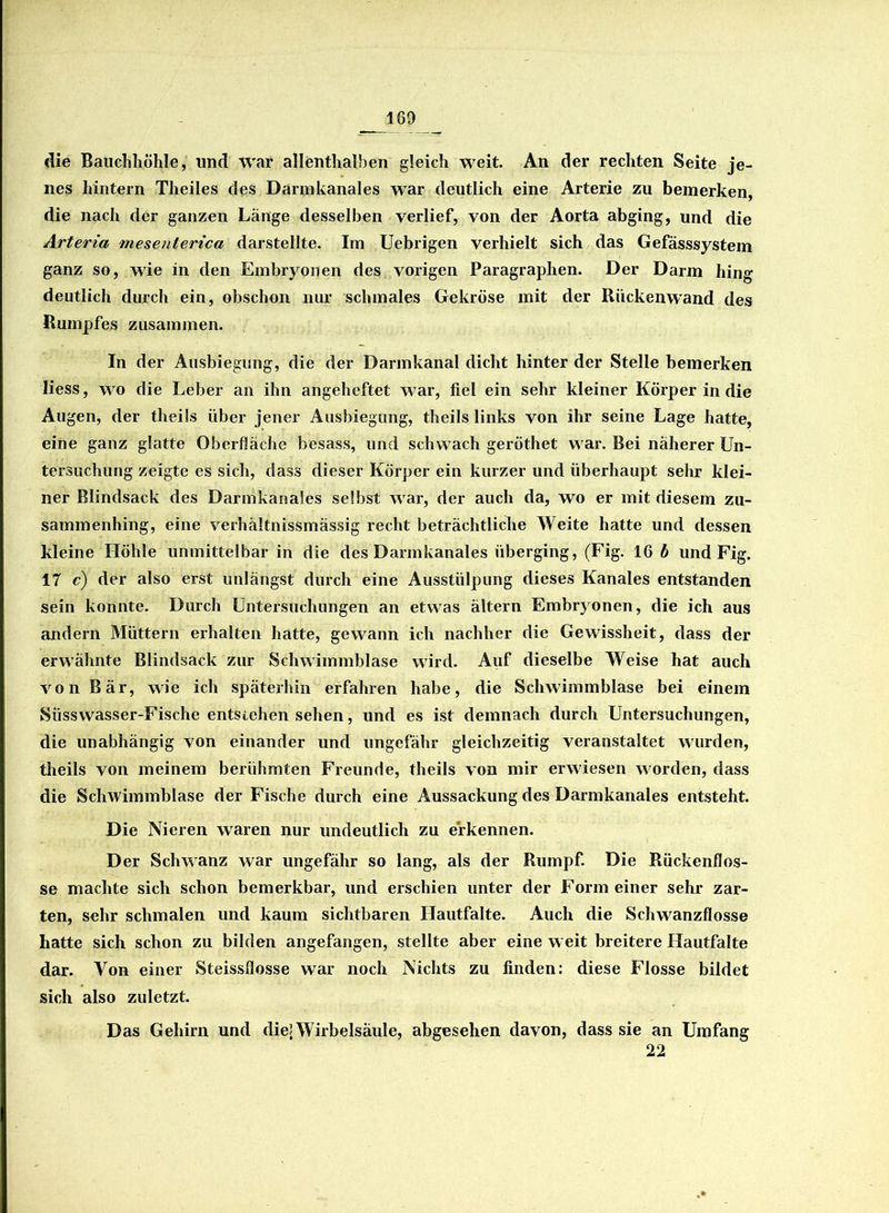 —169 die Bauchhöhle, und war allenthalben gleich weit. An der rechten Seite je- nes hintern Theiles des Darmkanales war deutlich eine Arterie zu bemerken, die nach der ganzen Länge desselben verlief, von der Aorta abging, und die Arteria mesenterica darstellte. Im Uebrigen verhielt sich das Gefässsystem ganz so, wie in den Embryonen des vorigen Paragraphen. Der Darm hing deutlich durch ein, obschon nur schmales Gekröse mit der Rückenwand des Rumpfes zusammen. In der Ausbiegung, die der Darmkanal dicht hinter der Stelle bemerken liess, wo die Leber an ihn angeheftet war, fiel ein sehr kleiner Körper in die Augen, der theils über jener Ausbiegung, theils links von ihr seine Lage hatte, eine ganz glatte Oberfläche besass, und schwach geröthet war. Bei näherer Un- tersuchung zeigte es sich, dass dieser Körper ein kurzer und überhaupt sehr klei- ner Blindsack des Darinkanales selbst war, der auch da, wo er mit diesem zu- sammenhing, eine verhältnissmässig recht beträchtliche Weite hatte und dessen kleine Höhle unmittelbar in die des Darmkanales überging, (Fig. 16 b und Fig. 17 c) der also erst unlängst durch eine Ausstülpung dieses Kanales entstanden sein konnte. Durch Untersuchungen an etwas ältern Embryonen, die ich aus andern Müttern erhalten hatte, gewann ich nachher die Gewissheit, dass der erwähnte Blindsack zur Schwimmblase wird. Auf dieselbe Weise hat auch von Bär, wie ich späterhin erfahren habe, die Schwimmblase bei einem Siisswasser-Fische entstehen sehen, und es ist demnach durch Untersuchungen, die unabhängig von einander und ungefähr gleichzeitig veranstaltet wurden, theils von meinem berühmten Freunde, theils von mir erwiesen worden, dass die Schwimmblase der Fische durch eine Aussackung des Darmkanales entsteht. Die Nieren waren nur undeutlich zu erkennen. Der Schwanz war ungefähr so lang, als der Rumpf. Die Rückenflos- se machte sich schon bemerkbar, und erschien unter der Form einer sehr zar- ten, sehr schmalen und kaum sichtbaren Hautfalte. Auch die Schwanzflosse hatte sich schon zu bilden angefangen, stellte aber eine w eit breitere Hautfalte dar. Von einer Steissflosse war noch Nichts zu finden: diese Flosse bildet sich also zuletzt. Das Gehirn und die! Wirbelsäule, abgesehen davon, dass sie an Umfang 22
