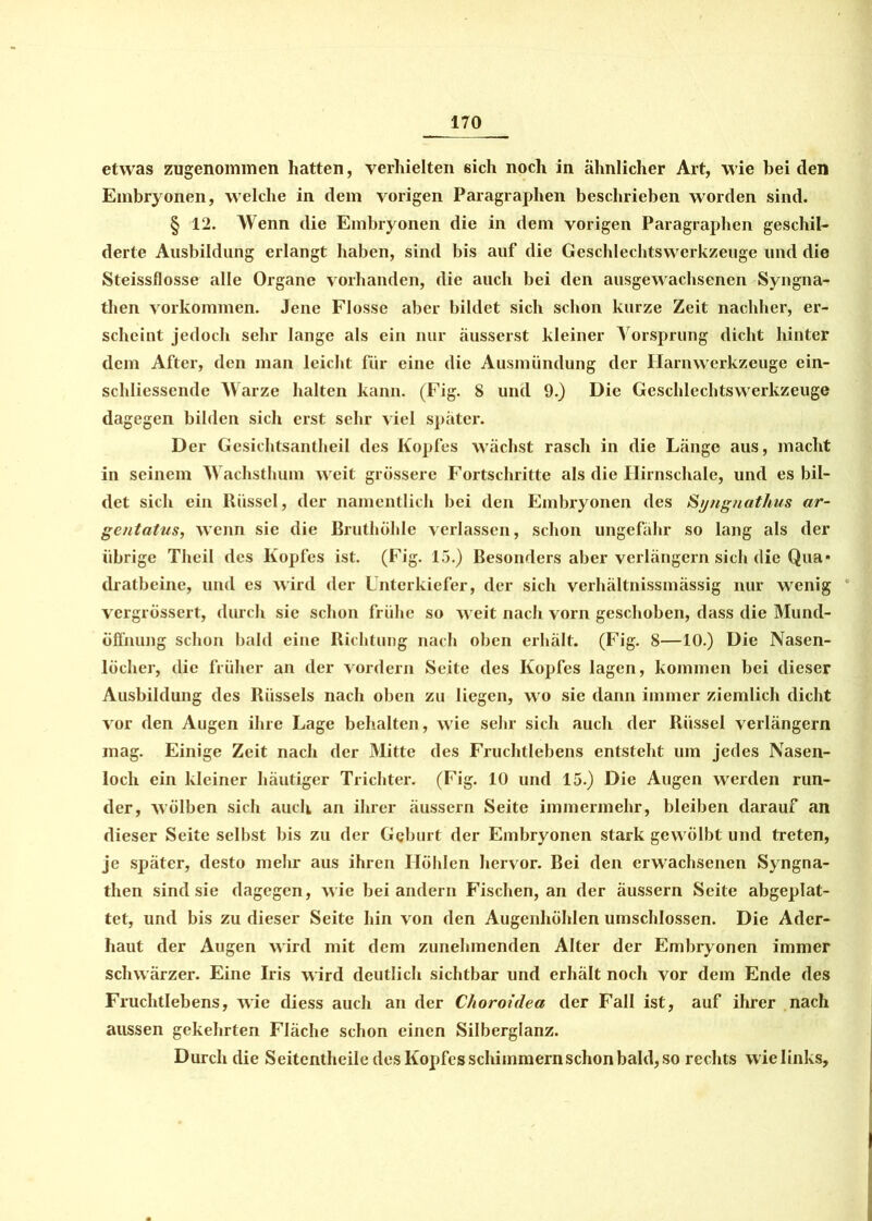 etwas zugenommen hatten, verhielten sich noch in ähnlicher Art, wie bei den Embryonen, welche in dem vorigen Paragraphen beschrieben worden sind. § 12. Wenn die Embryonen die in dem vorigen Paragraphen geschil- derte Ausbildung erlangt haben, sind bis auf die Geschlechts Werkzeuge und die Steissflosse alle Organe vorhanden, die auch bei den ausgewachsenen Syngna- then Vorkommen. Jene Flosse aber bildet sich schon kurze Zeit nachher, er- scheint jedoch sehr lange als ein nur äusserst kleiner Vorsprung dicht hinter dem After, den man leicht für eine die Ausmündung der Harnwerkzeuge ein- schliessende Warze halten kann. (Fig. 8 und 9.) Die Geschlechtswerkzeuge dagegen bilden sich erst sehr viel später. Der Gesiehtsantheil des Kopfes wächst rasch in die Länge aus, macht in seinem Wachsthum weit grössere Fortschritte als die Hirnschale, und es bil- det sich ein Rüssel, der namentlich bei den Embryonen des $yngnathus ar- gentatus, wenn sie die Bruthöhle verlassen, schon ungefähr so lang als der übrige Theil des Kopfes ist. (Fig. 15.) Besonders aber verlängern sich die Qua* dratbeine, und es wird der Unterkiefer, der sich verhältnissmässig nur wenig vergrössert, durch sie schon frühe so weit nach vorn geschoben, dass die Mund- öffnung schon bald eine Richtung nach oben erhält. (Fig. 8—10.) Die Nasen- löcher, die früher an der vordem Seite des Kopfes lagen, kommen bei dieser Ausbildung des Rüssels nach oben zu liegen, wo sie dann immer ziemlich dicht vor den Augen ihre Lage behalten, wie sehr sich auch der Rüssel verlängern mag. Einige Zeit nach der Mitte des Fruchtlebens entsteht um jedes Nasen- loch ein kleiner häutiger Trichter. (Fig. 10 und 15.) Die Augen werden run- der, wölben sich auch an ihrer äussern Seite immermehr, bleiben darauf an dieser Seite selbst bis zu der Geburt der Embryonen stark gewölbt und treten, je später, desto mehr aus ihren Höhlen hervor. Bei den erwachsenen Syngna- then sind sie dagegen, wie bei andern Fischen, an der äussern Seite abgeplat- tet, und bis zu dieser Seite hin von den Augenhöhlen umschlossen. Die Ader- haut der Augen wird mit dem zunehmenden Alter der Embryonen immer schwärzer. Eine Iris wird deutlich sichtbar und erhält noch vor dem Ende des Fruchtlebens, wie diess auch an der Clioroidea der Fall ist, auf ihrer nach aussen gekehrten Fläche schon einen Silberglanz. Durch die Seitentheile des Kopfes schimmern schon bald, so rechts wie links.