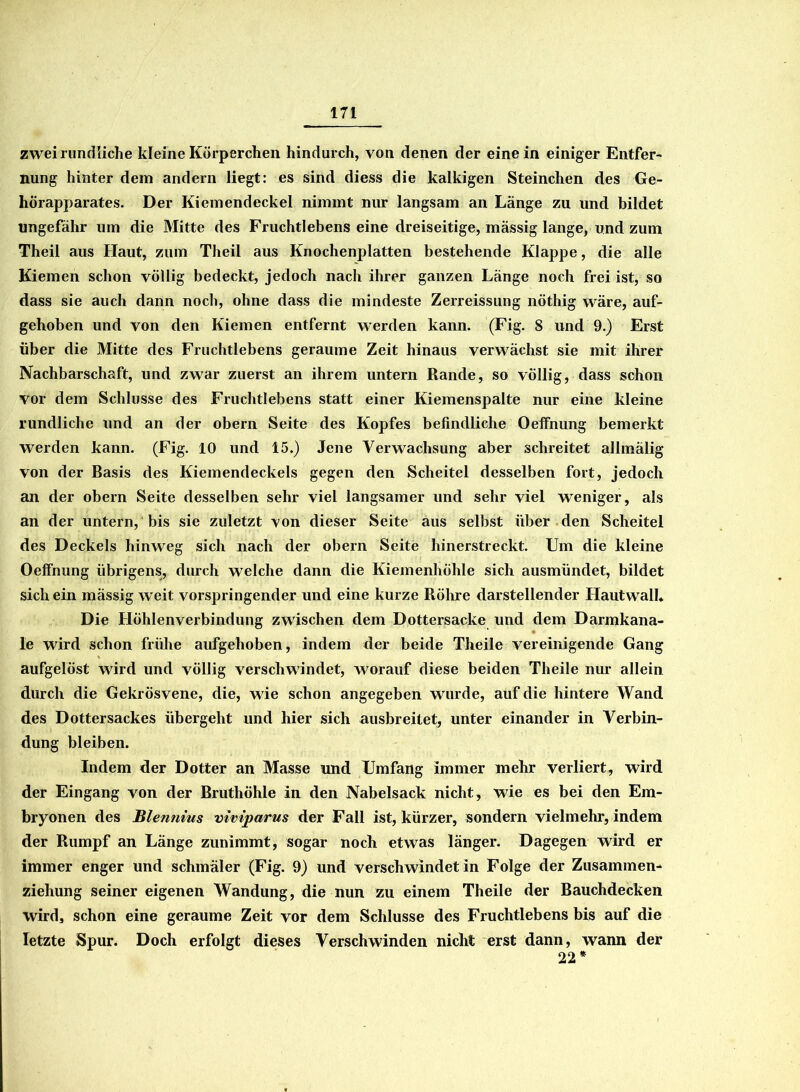zwei rundliche kleine Körperchen hindurch, von denen der einein einiger Entfer- nung hinter dem andern liegt: es sind diess die kalkigen Sternchen des Ge- hörapparates. Der Kiemendeckel nimmt nur langsam an Länge zu und bildet ungefähr um die Mitte des Fruchtlebenseine dreiseitige, mässig lange, und zum Theil aus Haut, zum Theil aus Knochenplatten bestehende Klappe, die alle Kiemen schon völlig bedeckt, jedoch nach ihrer ganzen Länge noch frei ist, so dass sie auch dann noch, ohne dass die mindeste Zerreissung nöthig wäre, auf- gehoben und von den Kiemen entfernt werden kann. (Fig. 8 und 9.) Erst über die Mitte des Fruchtlebens geraume Zeit hinaus verwächst sie mit ihrer Nachbarschaft, und zwar zuerst an ihrem untern Rande, so völlig, dass schon vor dem Schlüsse des Fruchtlebens statt einer Kiemenspalte nur eine kleine rundliche und an der obern Seite des Kopfes befindliche Oeffnung bemerkt werden kann. (Fig. 10 und 15.) Jene Verwachsung aber schreitet allmälig von der Basis des Kiemendeckels gegen den Scheitel desselben fort, jedoch an der obern Seite desselben sehr viel langsamer und sehr viel weniger, als an der untern, bis sie zuletzt von dieser Seite aus selbst über den Scheitel des Deckels hinweg sich nach der obern Seite hinerstreckt. Um die kleine Oeffnung übrigens, durch welche dann die Kiemenhöhle sich ausmündet, bildet sich ein mässig weit vorspringender und eine kurze Röhre darstellender Hautw all. Die Höhlenverbindung zwischen dem Dottersacke und dem Darmkana- le wird schon frühe aufgehoben, indem der beide Theile vereinigende Gang aufgelöst wird und völlig verschwändet, worauf diese beiden Theile nur allein durch die GekrÖsvene, die, wie schon angegeben wmrde, auf die hintere Wand des Dottersackes übergeht und hier sich ausbreitet, unter einander in Verbin- dung bleiben. Indem der Dotter an Masse und Umfang immer mehr verliert, wird der Eingang von der Bruthöhle in den Nabelsack nicht, wie es bei den Em- bryonen des Blennius viviparus der Fall ist, kürzer, sondern vielmehr, indem der Rumpf an Länge zunimmt, sogar noch etwas länger. Dagegen wird er immer enger und schmäler (Fig. 9) und verschwindet in Folge der Zusammen- ziehung seiner eigenen Wandung, die nun zu einem Theile der Bauchdecken wird, schon eine geraume Zeit vor dem Schlüsse des Fruchtlebens bis auf die letzte Spur, Doch erfolgt dieses Verschwinden nicht erst dann, wann der