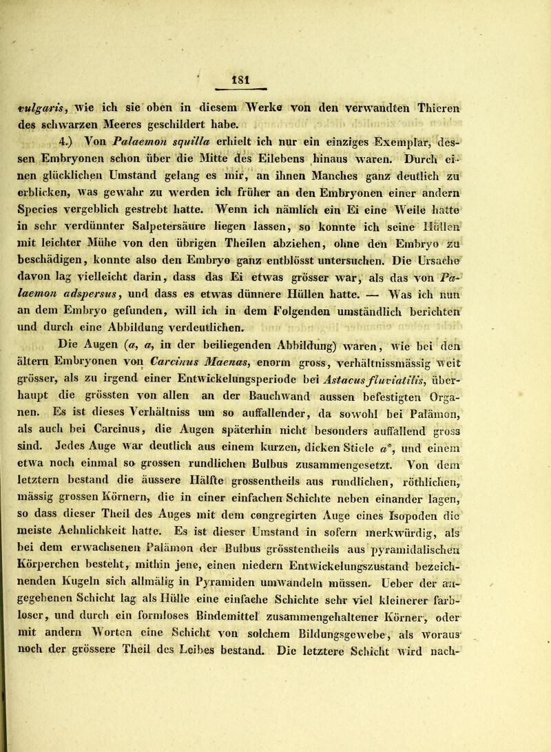 vulgaris, wie ich sie oben in diesem Werke von den verwandten Thieren des schwarzen Meeres geschildert habe. 4.) Von Palaemoti squilla erhielt ich nur ein einziges Exemplar, des- sen Embryonen schon über die Mitte des Eilebens hinaus waren. Durch ei- nen glücklichen Umstand gelang es mir, an ihnen Manches ganz deutlich zu erblicken, was gewahr zu werden ich früher an den Embryonen einer andern Species vergeblich gestrebt hatte. Wenn ich nämlich ein Ei eine Weile hatte in sehr verdünnter Salpetersäure liegen lassen, so konnte ich seine Hüllen mit leichter Mühe von den übrigen Theiien abziehen, ohne den Embryo zu beschädigen, konnte also den Embryo ganz entblösst untersuchen. Die Ursache davon lag vielleicht darin, dass das Ei etwas grösser war, als das von Pa- laemoti adspersus, und dass es etwas dünnere Hüllen hatte. — Was ich nun an dem Embryo gefunden, will ich in dem Folgenden umständlich berichten und durch eine Abbildung verdeutlichen. Die Augen (a, a, in der beiliegenden Abbildung) waren, wie bei den altern Embryonen von Carduus Maenas, enorm gross, verhältnissmässig weit grösser, als zu irgend einer Entwickelungsperiode bei Astacusfluviätilis, über- haupt die grössten von allen an der Bauchwand aussen befestigten Orga- nen. Es ist dieses Verhältnis um so auffallender, da sowohl bei Palämon, als auch bei Carcinus, die Augen späterhin nicht besonders auffallend gross sind. Jedes Auge war deutlich aus einem kurzen, dicken Stiele a*, und einem etwa noch einmal so grossen rundlichen Bulbus zusammengesetzt. Von dem letztem bestand die äussere Hälfte grossentheils aus rundlichen, röthlichen, mässig grossen Körnern, die in einer einfachen Schichte neben einander lägen, so dass dieser Theil des Auges mit dem congregirten Auge eines Isopoden die meiste Aehnlichkeit hatte. Es ist dieser Umstand in sofern merkwürdig, als bei dem erwachsenen Palämon der Bulbus grösstentheils aus pyramidal] scheu Körperchen besteht, mithin jene, einen niedern Entwickelungszustand bezeich- nenden Kugeln sich allmälig in Pyramiden umwandeln müssen. Ueber der an- gegebenen Schicht lag als Hülle eine einfache Schichte sehr viel kleinerer farb- loser, und durch ein formloses Bindemittel zusammengehaltener Körner, oder mit andern Worten eine Schicht von solchem Bildungsgewebe, als woraus noch der grössere Theil des Leibes bestand. Die letztere Schicht wird nach-