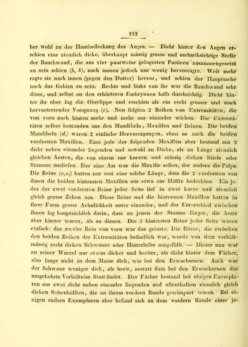 1S2 her Wohl zu der Hautbedeckung des Auges. — Dicht hinter den Augen er- schien eine ziemlich dicke, überhaupt massig grosse und undurchsichtige Stelle der Bauchwand, die aus vier paarweise gelagerten Partieen zusammengesetzt zu sein schien (b, b), nach aussen jedoch nur wenig hervorragte. Weit mehr ragte sie nach innen (gegen den Dotter) hervor, und schien der Hauptsache nach das Gehirn zu sein. Ilechts und links von ihr war die Bauchwand sehr dünn, und selbst an den erhärteten Embryonen halb durchsichtig. Dicht hin- ter ihr aber lag die Oberlippe und erschien als ein recht grosser und stark hervortretender Vorsprung (c). Nun folgten 2 Beihen von Extremitäten, die von vorn nach hinten mehr und mehr aus einander wichen. Di« Extremi- täten selber bestanden aus den Man di b ein, Maxillen und Beinen. Die beiden Mandibeln (d,) waren 2 einfache Hervorragungen, eben so auch die beiden vordersten Maxillen. Eine jede der folgenden Maxillen aber bestand aus 2 dicht neben einander liegenden und sowohl an Dicke, als an Länge ziemlich gleichen Aesten, die von einem nur kurzen und mässig dicken Stiele oder Stamme ausliefen. Der eine Ast w ar die Maxille selber, der andere die Palpe. Die Beine (e,e,) hatten nur erst eine solche Länge, dass die 2 vordersten von ihnen die beiden hintersten Maxillen nur etwa zur Hälfte bedeckten. Ein je- des der zwei vordersten Beine jeder Seite lief in zwei kurze und ziemlich gleich grosse Zehen aus. Diese Beine und die hintersten Maxillcn hatten in ihrer Form grosse Aehnlichkeit unter einander, und der Unterschied zwischen ihnen lag hauptsächlich darin, dass an jenen der Stamm länger, die Aeste aber kürzer waren, als an diesen. Die 3 hintersten Beine jeder Seite waren einfach: das zweite Bein von vorn w’ar das grösste. Die Rinne, die zwischen den beiden Reihen der Extremitäten befindlich war, wurde von dem verhält- mässig recht dicken Schwänze oder Hinterleibe ausgcfiillt. — Dieser nun wTar an seiner Wurzel nur etwas dicker und breiter, als dicht hinter dem Fächer, also lange nicht in dem Masse dick, wie bei den Erwachsenen. Auch war der Schwanz weniger dick, als breit, anstatt dass bei den Erwachsenen das umgekehrte Verhältniss Statt findet. Der Fächer bestand bei einigen Exempla- ren aus zwei dicht neben einander liegenden und allenthalben ziemlich gleich dicken Seitenhälften, die an ihrem vordem Rande gewimpert waren. Bei ei- nigen andern Exemplaren aber befand sich an dem vordem Rande einer je-