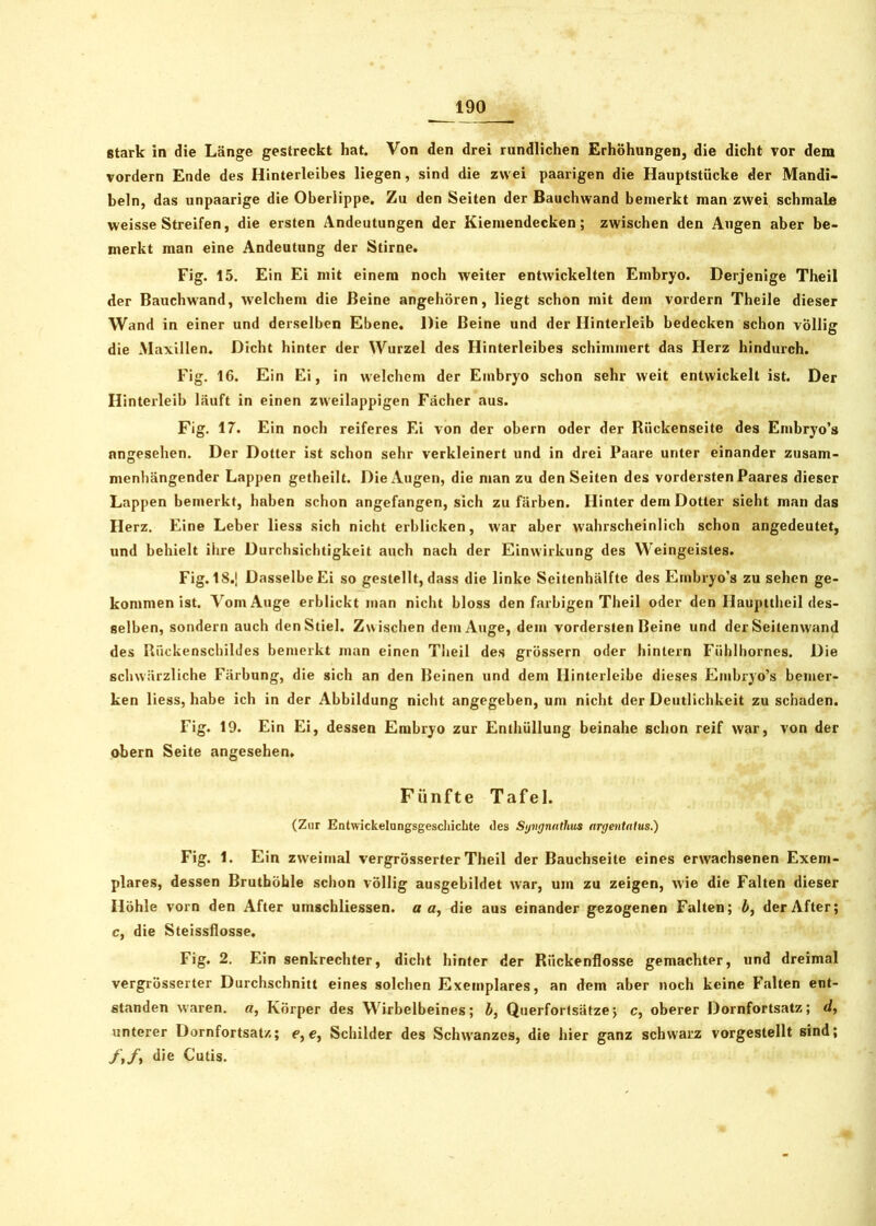 stark in die Länge gestreckt hat. Von den drei rundlichen Erhöhungen, die dicht vor dem vordem Ende des Hinterleibes liegen, sind die zwei paarigen die Hauptstücke der Mandi- beln, das unpaarige die Oberlippe. Zu den Seiten der Bauchwand bemerkt man zwei schmale weisse Streifen, die ersten Andeutungen der Kiemendecken; zwischen den Augen aber be- merkt man eine Andeutung der Stirne. Fig. 15. Ein Ei mit einem noch weiter entwickelten Embryo. Derjenige Theil der Bauchwand, welchem die Beine angehören, liegt schon mit dem vordem Theile dieser Wand in einer und derselben Ebene. Die Beine und der Hinterleib bedecken schon völlig die Maxillen. Dicht hinter der Wurzel des Hinterleibes schimmert das Herz hindurch. Fig. 16. Ein Ei, in welchem der Embryo schon sehr weit entwickelt ist. Der Hinterleib läuft in einen zweilappigen Fächer aus. Fig. 17. Ein noch reiferes Ei von der obern oder der Rückenseite des Embryo’s angesehen. Der Dotter ist schon sehr verkleinert und in drei Paare unter einander zusam- menhängender Lappen getheilt. Die Augen, die man zu den Seiten des vordersten Paares dieser Lappen bemerkt, haben schon angefangen, sich zu färben. Hinter dem Dotter sieht man das Herz. Eine Leber liess sich nicht erblicken, war aber wahrscheinlich schon angedeutet, und behielt ihre Durchsichtigkeit auch nach der Einwirkung des Weingeistes. Fig. 18.] Dasselbe Ei so gestellt, dass die linke Seitenhälfte des Embryo’s zu sehen ge- kommen ist. Vom Auge erblickt man nicht bloss den farbigen Theil oder den Haupttheil des- selben, sondern auch den Stiel. Zw ischen dem Auge, dem vordersten Beine und der Seilenwand des Rückenschildes bemerkt man einen Theil des grossem oder hintern Fühlhornes. Die schwärzliche Färbung, die sich an den Beinen und dem Hinterleibe dieses Embryo’s bemer- ken liess, habe ich in der Abbildung nicht angegeben, um nicht der Deutlichkeit zu schaden. Fig. 19. Ein Ei, dessen Embryo zur Enthüllung beinahe schon reif war, von der obern Seite angesehen. Fünfte Tafel. (Zur Entwicklungsgeschichte des Syngnathus argentalus.) Fig. 1. Ein zweimal vergrösserter Theil der Bauchseite eines erwachsenen Exem- plares, dessen Brutböhle schon völlig ausgebildet war, um zu zeigen, wie die Falten dieser Höhle vorn den After umschliessen. a a, die aus einander gezogenen Falten; b, der After; c, die Steissflosse. Fig. 2. Ein senkrechter, dicht hinter der Rückenflosse gemachter, und dreimal vergrösserter Durchschnitt eines solchen Exetnplares, an dem aber noch keine Falten ent- standen waren, a, Körper des Wirbelbeines; b, Querfortsätze; c, oberer Dornfortsatz; d, unterer Dornfortsatz; e, e, Schilder des Schwanzes, die hier ganz schwarz vorgestellt sind; /,/, die Cutis.