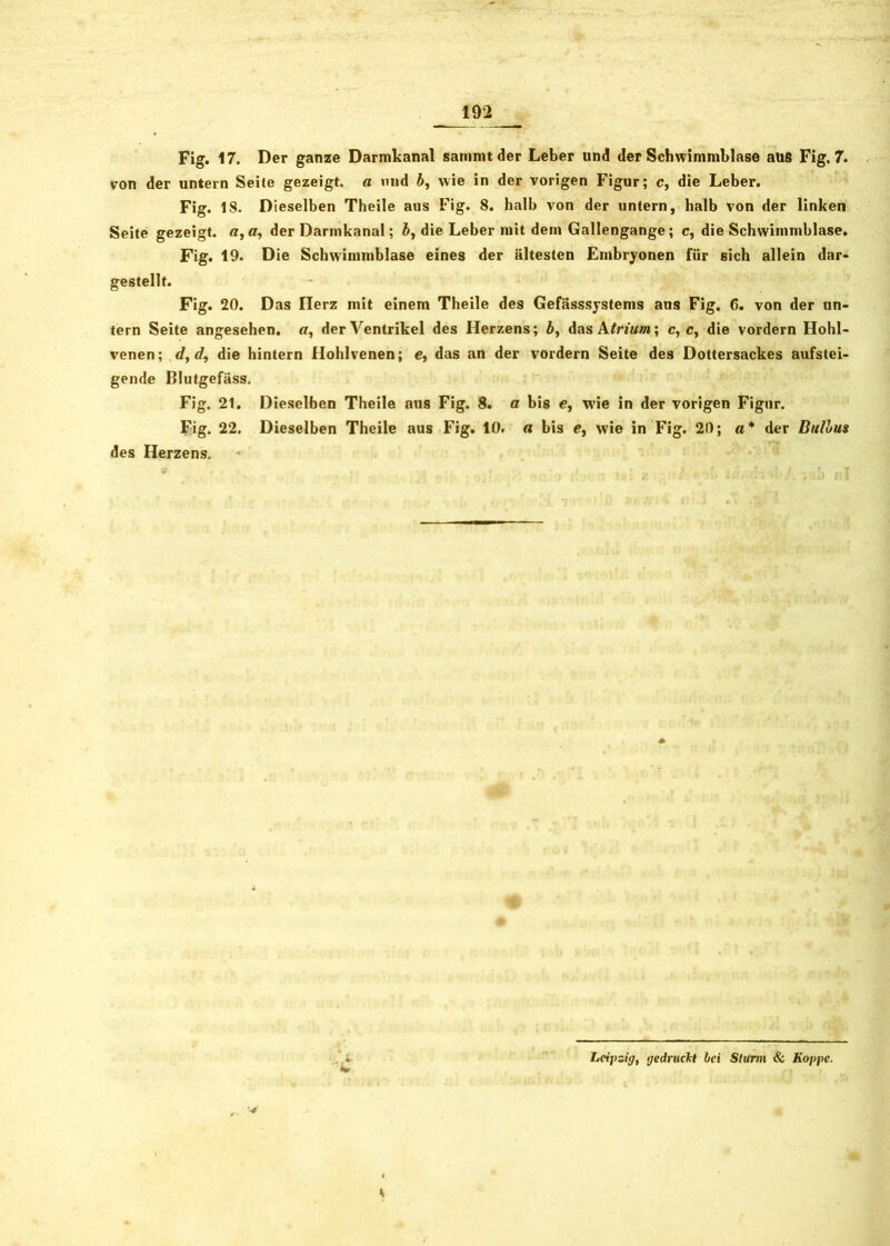 Fig. 17. Der ganze Darmkanal sanimt der Leber und der Schwimmblase aus Fig, 7. von der untern Seife gezeigt, a und b, wie in der vorigen Figur; c, die Leber. Fig. 18. Dieselben Theile aus Fig. 8. halb von der untern, halb von der linken Seite gezeigt, a,fl, der Darmkanal; die Leber mit dem Gallengange; c, die Schwimmblase. Fig. 19. Die Schwimmblase eines der ältesten Embryonen für sich allein dar- gestellt. Fig. 20. Das llerz mit einem Theile des Gefässsystems aus Fig. 6. von der un- tern Seite angesehen. «, der Ventrikel des Herzens; b, das Atrium; c, c, die vordem Hohl- venen; </, die hintern Hohlvenen; e, das an der vordem Seite des Dottersackes aufstei- gende Blutgefäss. Fig. 21. Dieselben Theile aus Fig. 8. fl bis e, wie in der vorigen Figur. Fig. 22. Dieselben Theile aus Fig. 10. fl bis e, wie in Fig. 20; a* der Bulbus des Herzens. Leipzig, gedruckt lei Sturm & Koppe.