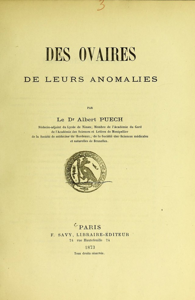 digitised image 3