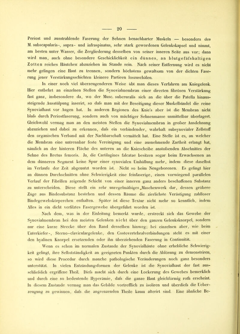 Periost und ausstrahlende Faserung der Sehnen benachbarter Muskeln — besonders des M. subscapularis-, supra- und infraspinatus, sehr stark gewordenen Gelenkskapsel und nimmt, am besten unter Wasser, die Zergliederung desselben von seiner inneren Seite aus vor; dann wird man, auch ohne besondere Geschicklichkeit ein dünnes, an blutgefäfshaltigen Zotten reiches Häutchen abzuziehen im Stande sein. Nach seiner Entfernung wird es nicht mehr gelingen eine Haut zu trennen, sondern höchstens gewaltsam von der dichten Fase- rung jener Verstärkungsschichten kleinere Partieen loszuschälen. In einer noch viel überzeugenderen Weise übt man dieses Verfahren am Kniegelenk. Hier entbehrt an einzelnen Stellen die Synovialmembran einer directen fibrösen Verstärkung fast ganz, insbesondere da, wo der Muse, subcruralis sich an die über die Patella hinaus- sleigende Ausstülpung inserirt, so dafs man mit der Beseitigung dieser Muskelbündel die reine Synovialhaut vor Augen hat. In anderen Regionen des Knie’s aber ist die Membran nicht blofs durch Periostfaserung, sondern auch von mächtiger Sehnenraasse unmittelbar überlagert. Gleichwohl vermag man an den meisten Stellen die Synovialmembran in grofser Ausdehnung abzuziehen und dabei zu erkennen, dafs ein verbindender, wahrhaft subsynovialer Zellstoff den organischen Verband mit der Nachbarschaft vermittelt hat. Eine Stelle ist es, an welcher die Membran eine untrennbar feste Vereinigung und eine ausnehmende Zartheit erlangt hat, nämlich an der hinteren Fläche des unteren an die Kniescheibe anstofsenden Abschnittes der Sehne des Rectus femoris. Ja, die Cartilagines falcatae besitzen sogar beim Erwachsenen an dem dünneren Segment keine Spur einer synovialen Umhüllung mehr, indem diese daselbst im Verlaufe der Zeit abgenutzt worden ist. Nicht so beim Neugeborenen. Es gelingt hier an dünnen Durchschnitten ohne Schwierigkeit eine feinfaserige, einen vorwiegend parallelen Verlauf der Fibrillen zeigende Schicht von einer inneren ganz anders beschaffenen Substanz zu unterscheiden. Diese stellt ein sehr unregelmäfsiges^Maschenwerk dar, dessen gröbere Züge aus Bindesubstanz bestehen und dessen Räume die zierlichste Verästigung zahlloser Bindegewebskörperchen enthalten. Später ist diese Textur nicht mehr so kenntlich, indem Alles in ein dicht verfilztes Fasergewebe übergeführt worden ist. Nach dem, was in der Einleitung bemerkt wurde, erstreckt sich das Gewebe der Synovialmembran bei den meisten Gelenken nicht über den ganzen Gelenksknorpel, sondern nur eine kurze Strecke über den Rand desselben hinweg; bei einzelnen aber, wie beim Unterkiefer-, Sterno-claviculargelenke, den CostovertebralVerbindungen steht es mit einer den hyalinen Knorpel ersetzenden oder ihn überziehenden Faserung in Continuität. Wenn es schon im normalen Zustande der Synovialhäute ohne erhebliche Schwierig- keit gelingt, ihre Selbstständigkeit an geeigneten Punkten durch die Ablösung zu demonstriren, so wird diese Procedur durch manche pathologische Veränderungen noch ganz besonders unterstützt. In vielen Entzündungsformen der Gelenke ist die Synovialhaut der fast aus- schliefslich ergriffene Theil. Diefs macht sich durch eine Lockerung des Gewebes bemerklich und durch eine so bedeutende Hyperämie, dafs die ganze Haut gleichförmig roth erscheint. In diesem Zustande vermag man das Gebilde vortrefflich zu isoliren und überdiefs die üeber- zeugung zu gewinnen, dafs die angrenzenden Theile kaum alterirt sind. Eine ähnliche Be-