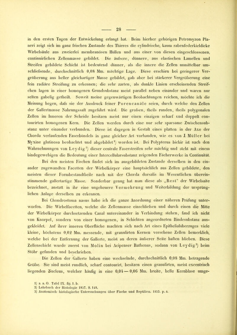 in den ersten Tagen der Entwickelung erlangt hat. Beim hierher gehörigen Pelromyzon Pla- nen zeigt sich im ganz frischen Zustande des Thieres die cylindrische, kaum rabenfederkieldicke Wirbelsäule aus zweierlei membranösen Hüllen und aus einer von diesen eingeschlossenen, continuirlichen Zellenmasse gebildet. Die äufsere, dünnere, aus elastischen Lamellen und Streifen gebildete Schicht ist bedeutend dünner, als die innere die Zellen unmittelbar um- schliefsende, durchschnittlich 0,08 Mm. mächtige Lage. Diese erschien bei geringerer Ver- gröfserung aus heller gleichartiger Masse gebildet, gab aber bei stärkerer Vergröfserung eine fein radiäre Streifung zu erkennen; die sehr zarten, als dunkle Linien erscheinenden Streif- chen lagen in einer homogenen Grundsubstanz meist parallel neben einander und waren nur selten gabelig getheilt. Soweit meine gegenwärtigen Beobachtungen reichen, möchte ich die Meinung hegen, dafs sie der Ausdruck feiner Porencanäle seien, durch welche den Zellen der Gallertmasse Nahrungssaft zugeführt wird. Die grofsen, theils runden, theils polygonalen Zellen im Inneren der Scheide besitzen njeist nur einen einzigen scharf und doppelt con- tourirten homogenen Kern. Die Zellen werden durch eine nur sehr sparsame Zwischensub- stanz unter einander verbunden. Diese ist dagegen in Gestalt eines platten in der Axe der Chorda verlaufenden Faserbündels in ganz gleicher Art vorhanden, wie es von J. Müller bei Myxine glutinosa beobachtet und abgebildet worden ist. Bei Polypterus bichir ist nach den Wahrnehmungen von Leydig) dieser centrale Faserstreifen sehr mächtig und steht mit einem bindegew'ebigen die Bedeutung einer Intercellularsubstanz zeigenden Fächerwerke in Continuität. Bei den meisten Fischen findet sich im ausgebildeten Zustande derselben in den ein- ander zugewandten Facetten der Wirbelkörper eine hauptsächlich aus Zellen gebildete, den meisten dieser Formbestandtheile nach mit der Chorda dorsalis im Wesentlichen überein- stimmende gallertartige Masse. Sonderbar genug hat man diese als „Rest” der Wirbelsaite bezeichnet, anstatt in ihr eine ungeheuere Vermehrung und Weiterbildung der ursprüng- lichen Anlage derselben zu erkennen. Bei Chondrostoma nasus habe ich die ganze Anordnung einer näheren Prüfung unter- worfen. Die Wirbelfacetten, welche die Zellenmasse einschliefsen und durch einen die Mitte der Wirbelkörper durchsetzenden Canal untereinander in Verbindung stehen, fand ich nicht von Knorpel, sondern von einer homogenen, in Schichten angeordneten Bindesubstanz aus- gekleidet. Auf ihrer inneren Oberfläche machten sich nach Art eines Epithelialüberzuges viele kleine, höchstens 0,02 Mm. messende, mit granulirten Kernen versehene Zellen bemerklich, welche bei der Entfernung der Gallerte, meist an deren äufserer Seite haften blieben. Diese Zellenschicht wurde zuerst von Molin bei Acipenser Ruthenus, sodann von Leydig^) beim Stöhr gefunden und beschrieben. Die Zellen der Gallerte haben eine wechselnde, durchschnittlich 0,08 Mm. betragende Gröfse. Sie sind meist rundlich, scharf contourirt, besitzen einen granulirten, meist excentrisch liegenden Nucleus, welcher häufig in eine 0,04—0,06 Mm. breite, helle Kernblase umge- 1) a. a. 0. Tafel IX. fig. l.b. 2) Lehrbuch der Histologie 1857. S. 149. 3) Anatomisch-histologische Untersuchungen über Fische und Reptilien. 1853. p.4.