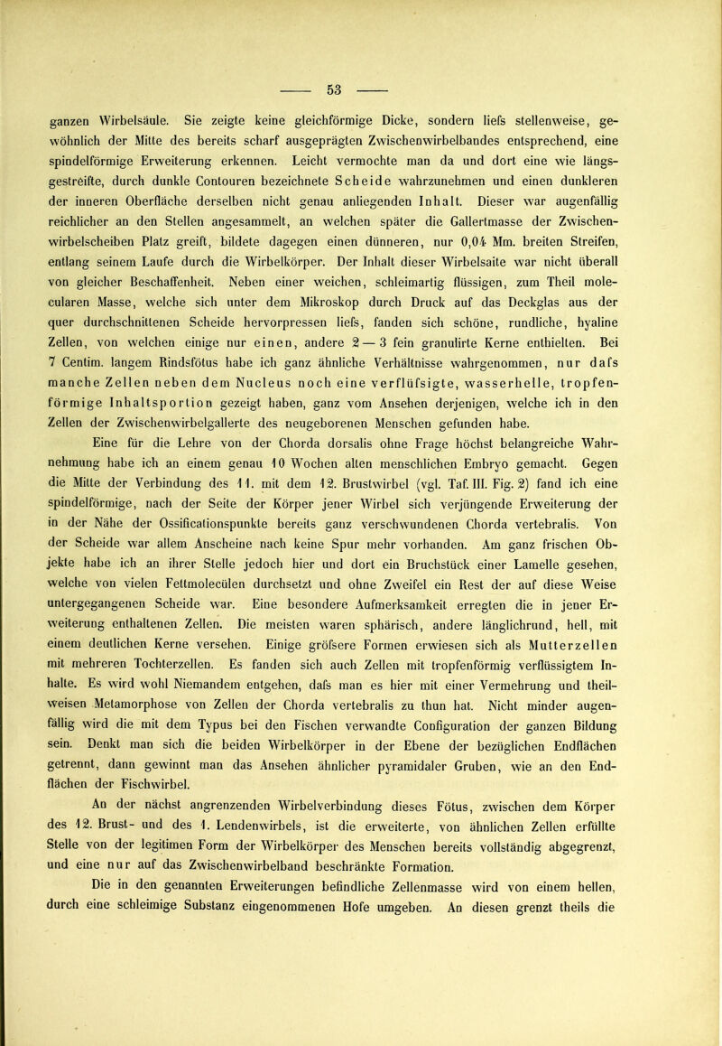 ganzen Wirbelsäule. Sie zeigte keine gleichförmige Dicke, sondern liefs stellenweise, ge- wöhnlich der Mitte des bereits scharf ausgeprägten Zwischenwirbelbandes entsprechend, eine spindelförmige Erweiterung erkennen. Leicht vermochte man da und dort eine wie längs- gestreifte, durch dunkle Contouren bezeichnete Scheide wahrzunehmen und einen dunkleren der inneren Oberfläche derselben nicht genau anliegenden Inhalt. Dieser war augenfällig reichlicher an den Stellen angesammelt, an welchen später die Gallertmasse der Zwischen- wirbelscheiben Platz greift, bildete dagegen einen dünneren, nur 0,04 Mm. breiten Streifen, entlang seinem Laufe durch die Wirbelkörper. Der Inhalt dieser Wirbelsaite war nicht überall von gleicher Beschaffenheit. Neben einer weichen, schleimartig flüssigen, zum Theil mole- cularen Masse, welche sich unter dem Mikroskop durch Druck auf das Deckglas aus der quer durchschnittenen Scheide hervorpressen liefs, fanden sich schöne, rundliche, hyaline Zellen, von welchen einige nur einen, andere 2—3 fein granulirte Kerne enthielten. Bei 7 Centim. langem Rindsfötus habe ich ganz ähnliche Verhältnisse wahrgenommen, nur dafs manche Zellen neben dem Nucleus noch eine verflüfsigte, wasserhelle, tropfen- förmige Inhaltsportion gezeigt haben, ganz vom Ansehen derjenigen, welche ich in den Zellen der Zwischenwirbelgallerte des neugeborenen Menschen gefunden habe. Eine für die Lehre von der Chorda dorsalis ohne Frage höchst belangreiche Wahr- nehmung habe ich an einem genau 10 Wochen alten menschlichen Embryo gemacht. Gegen die Mitte der Verbindung des mit dem \2. Brustwirbel (vgl. Taf. III. Fig. 2) fand ich eine spindelförmige, nach der Seite der Körper jener Wirbel sich verjüngende Erweiterung der in der Nähe der Ossificationspunkte bereits ganz verschwundenen Chorda vertebralis. Von der Scheide war allem Anscheine nach keine Spur mehr vorhanden. Am ganz frischen Ob- jekte habe ich an ihrer Stelle jedoch hier und dort ein Bruchstück einer Lamelle gesehen, welche von vielen Fettmolecülen durchsetzt und ohne Zweifel ein Rest der auf diese Weise untergegangenen Scheide war. Eine besondere Aufmerksamkeit erregten die in jener Er- weiterung enthaltenen Zellen. Die meisten waren sphärisch, andere länglichrund, hell, mit einem deutlichen Kerne versehen. Einige gröfsere Formen erwiesen sich als Mutterzellen mit mehreren Tochterzellen. Es fanden sich auch Zellen mit tropfenförmig verflüssigtem In- halte. Es wird wohl Niemandem entgehen, dafs man es hier mit einer Vermehrung und theil- weisen Metamorphose von Zellen der Chorda vertebralis zu thun hat. Nicht minder augen- fällig wird die mit dem Typus bei den Fischen verwandte Configuration der ganzen Bildung sein. Denkt man sich die beiden Wirbelkörper in der Ebene der bezüglichen Endflächen getrennt, dann gewinnt man das Ansehen ähnlicher pyramidaler Gruben, wie an den End- flächen der Fischwirbel. An der nächst angrenzenden Wirbelverbindung dieses Fötus, zwischen dem Körper des 12. Brust- und des 1. Lendenwirbels, ist die erweiterte, von ähnlichen Zellen erfüllte Stelle von der legitimen Form der Wirbelkörper des Menschen bereits vollständig abgegrenzt, und eine nur auf das Zwischenwirbelband beschränkte Formation. Die in den genannten Erweiterungen befindliche Zellenmasse wird von einem hellen, durch eine schleimige Substanz eingenommenen Hofe umgeben. An diesen grenzt theils die