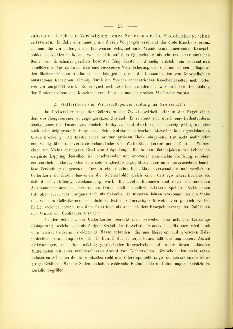 Substanz, durch die Verästigung jener Zellen aber die Knochenkörperchen entstehen. In üebereinstimmung mit diesen Vorgängen erscheint die erste Knochensubstanz als eine die verkalkten, durch theilweisen Schwund ihrer Wände communicirenden, Knorpel- höhlen auskleidende Röhre, welche sich auf dem Querschnitte als ein mit einer einfachen Reihe von Knochenkörperchen besetzter Ring darstellt. Allmälig entsteht ein concentrisch lamellöses Gefüge dadurch, dafs eine successive Verknöcherung der sich immer neu auflagern- den Blastemschichten stattfindet, so dafs jedes durch die Communication von Knorpelhöhlen entstandene Kanälchen allmälig durch ein System concentrischer Knochenlamellen mehr oder weniger ausgefüllt wird. Es ereignet sich also hier im Kleinen, was sich bei der Bildung der Rindensubstanz des Knochens vom Perioste aus im grofsen Maafsstabe zuträgt. ß. Gallei’tkern der Wirbelkörperverbindung im Greisenalter. Im Greisenalter zeigt der Gallertkern der Zwischenwirbelbänder in der Regel einen dem des Neugeborenen entgegengesetzten Zustand. Er zeichnet sich durch eine bedeutendere, häufig jener des Faserringes ähnliche Festigkeit, und durch eine schmutzig-gelbe, mitunter auch schmutzig-grüne Färbung aus. Seine Substanz ist trocken, bisweilen in ausgezeichnetem Grade bröckelig. Die Elasticität hat er zum gröfsten Theile eingebüfst, tritt nicht mehr oder nur wenig über die verticale Schnittfläche der Wirbelsäule hervor und erfährt in Wasser einen um Vieles geringeren Grad von Aufquellung. Die in den ßlüthenjahren des Lebens so exquisite Lappung desselben ist verschwunden und entweder eine dichte Verfilzung zu einer continuirlichen Masse, oder eine sehr ungleichförmige, öfters aber auch ausgezeichnet lamel- löse Zerklüftung eingetreten. Der in eine continuirliche Masse verwandelte und verdichtete Gallertkern durchzieht bisweilen die Gelenkshöhle gleich einer Cartilago interarticularis so, dafs diese vollständig zweikammerig wird. Die beiden Kammern sind enge, oft nur beim Auseinanderdehnen des senkrechten Durchschnittes deutlich sichtbare Spalten. Nicht selten tritt aber auch, was übrigens auch als Seltenheit in früheren Jahren vorkommt, an die Stelle des weichen Gallertkernes, ein dichtes, festes, sehnenartiges Gewebe von gelblich weifser Farbe, welches sowohl mit dem Faserringe als auch mit dem Knorpelüberzuge der Endflächen der Wirbel ein Continuum ausmacht. In der Substanz des Gallertkernes bemerkt man bisweilen eine gelbliche käseartige Einlagerung, welche sich als fettiger Zerfall der Gewebstheile ausweist. Mitunter wird auch eine weifse, trockene, kreideartige Masse gefunden, die aus kleineren und gröfseren Kalk- molecülen zusammengesetzt ist. In Betreff des feineren Baues fällt die ungeheuere Anzahl dickwandiger, zum Theil mächtig geschichteter Knorpelzellen auf, unter diesen collossale Mutterzellen mit einer unübersehbaren Anzahl von Tochterzellen. Zwischen den nicht selten gefaserten Schichten der Knorpelzellen sieht man öfters spindelförmige, dunkelconlourirte, kern- artige Gebilde. Manche Zellen enthalten zahlreiche Fettmolecüle und sind augenscheinlich im Zerfalle begriffen.