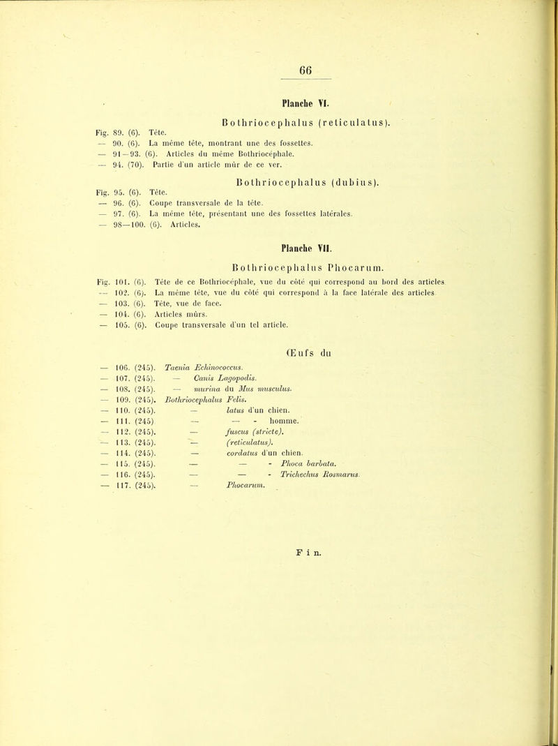 Planche VI. Bothriocephalus (reticulatus). Fig. 89. (6). Tète. — 90. (6). La même tête, montrant une des fossettes. — 91—93. (6). Articles du même Bothriocépliale. — 94. (70). Partie d'un article mûr de ce ver. Bothriocephalus (dubius). Fig. 95. (6). Tête. — 96. (6). Coupe transversale de la tête. — 97. (6). La même tête, présentant une des fossettes latérales. — 98—100. (6). Articles. Planche VII. Bothriocephalus P h o c a r u m. Fig. 101. (6). Tête de ce Bothriocépliale, vue du côté qui correspond au bord des articles — 102. (6). La même tête, vue du côté qui correspond à la face latérale des articles — 103. (6). Tète, vue de face. — 104. (6). Articles mûrs. — 105. (6). Coupe transversale d’un tel article. Œufs du — 106. (245). Taenia Eclùnococcus. — 107. (245). — Canis Lagopodis. — 108. (245). — mur in a du Mus musculus■ 109. (245). Bothriocephalus Felis. — 110. (245). - latus d’un chien. - 111. (245) — — - homme. — 112. (245). — fuscus (stricte). — 113. (245). (reticulatus). — 114. (245). — cordatus d’un chien. — 115. (245). — — - Phoca barbata. — 116. (245). — — - Trichechus Rosmarus. — 117. (245). — Pliocarum. Fin.