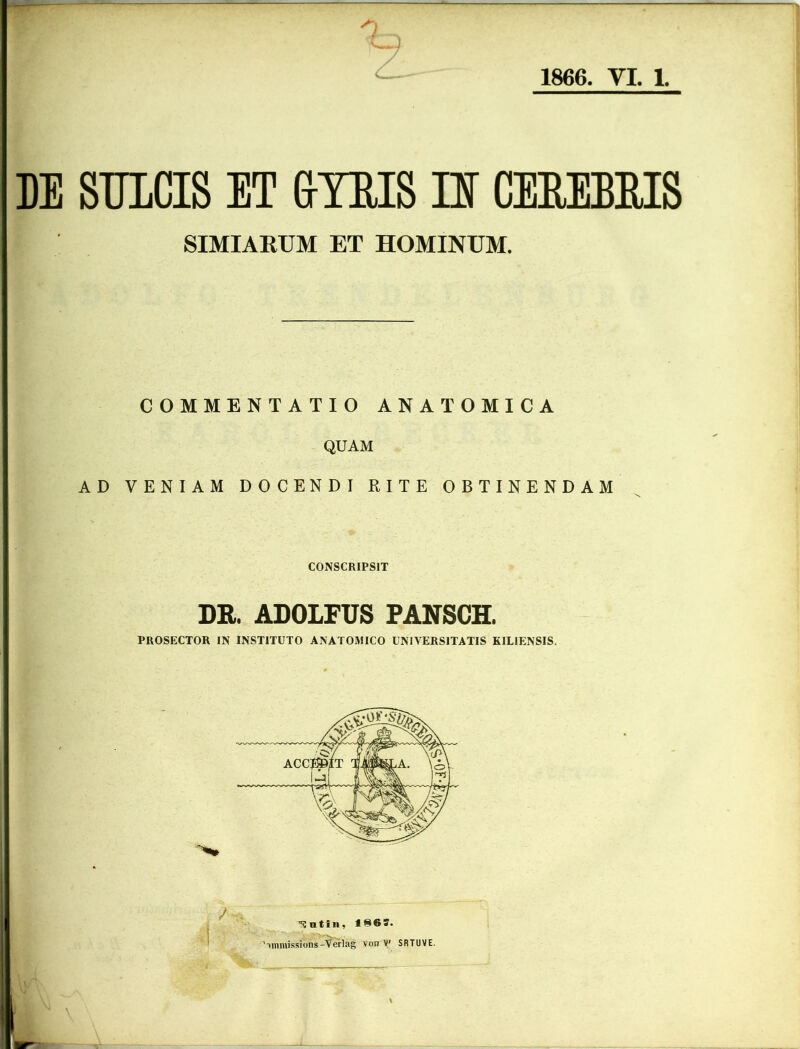 DE SULCIS ET GYRIS IE CEREBRIS SIMIAKUM ET HOMINUM. COMMENTATIO ANATOMICA QUAM AD VENIAM DOCENDI RITE OBTINENDAM CONSCRIPSIT DR. ADOLFUS PANSCH. PROSECTOR IN INSTITUTO ANATOMICO UNIVERSITATIS K1LIENSIS.