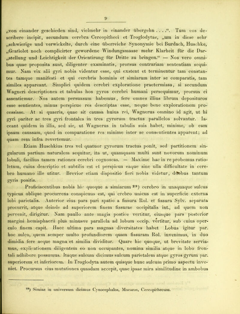 „von einander geschieden sind, vielmehr in einander iibergehn . . . Tum eos de- scribere incipit, secundum cerebra Cereopitheci et Troglodytae, „um in diese sehr „schwierige nnd verwickelte, durch eine uberreiche Synonymie bei Burdach, Huschke, „Gratiolet noch complicirter gewordene Windungsmasse mehr Klarheit fiir die Dar- „stellung und Leichtigkeit der Orientirung fur Dritte zu bringen.“ — Nos vero omni- bus quae proposita sunt, diligenter examinatis, prorsus contrariam sententiam sequi- mur. Nam vix alii gyri nobis videntur esse, qui exstent et terminentur tam constan- tes tamque manifesti et qui cerebris hominis et simiarum inter se comparatis, tam similes appareant. Simplici quidem cerebri exploratione praetermissa, si secundum Wagneri descriptiones et tabulas hos gyros cerebri humani persequimur, prorsus ei assentiemur. Nos autem persuasum habemus, fere omnes illius librum deposituros esse sentientes, minus perspicue res descriptas esse, neque bene explorationem pro- cessisse. At si quaeris, quae sit caussa huius rei, Wagnerus omnino id agit, ut hi gyri pariter ac tres gyri frontales in tres gyrorum tractus parallelos solvantur. Ia- ceant quidem in illis, sed sic, ut Wagnerus in tabulis suis habet, minime, ob eam ipsam caussam, quod in comparatione res minime inter se consentientes apparent; ad quam rem infra revertemur. Etiam Huschkius tres vel quatuor gyrorum tractus ponit, sed partitionem sin- gularum partium naturalem sequitur, ita ut, quamquam multi sunt novorum nominum lobuli, facilius tamen rationes cerebri cognoscas. — Maxime hac in re probemus ratio- letum, cuius descriptio et subtilis est et perspicua eaque sine ulla difficultate in cere- bro humano ille utitur. Brevior etiam dispositio fieri nobis videtur, difobus tantum gyris positis. Proficiscentibus nobis hic quoque a simiarum 29) cerebro in unaquaque sulcus typicus oblique procurrens conspicuus est, qui crebro unicus est in superficie externa lobi parietalis. Anterior eius pars pari spatio a fissura Rol. et fissura Sylv. separata procurrit, atque deinde ad superiorem finem fissurae occipitalis int., ad quem non pervenit, dirigitur. Nam paullo ante magis postice vertitur, eiusque pars posterior margini hemisphaerii plus minusve parallela ad lobum occip. vertitur, sub cuius oper- culo finem capit. Haec ultima pars magnas diversitates habet Lobus igitur par. hoc sulco, quem semper multo profundiorem quam fissuram Rol. invenimus, in duo dimidia fere aeque magna et similia dividitur. Quare hic quoque, ut brevitate servia- mus, explicationem diligentem eo non occupantes, nomina similia atque in lobo fron- tali adhibere possumus. Itaque sulcum dicimus sulcum parietalem atque gyros gyrum par. superiorem et inferiorem. In Troglodyta autem quisque hunc sulcum primo aspectu inve- niet. Procursus eius mutationes quasdam accepit, quae ipsae mira similitudine in ambobus 29) Simias in universum dicimus Cynocephalos, Macacos, Cercopithecum.