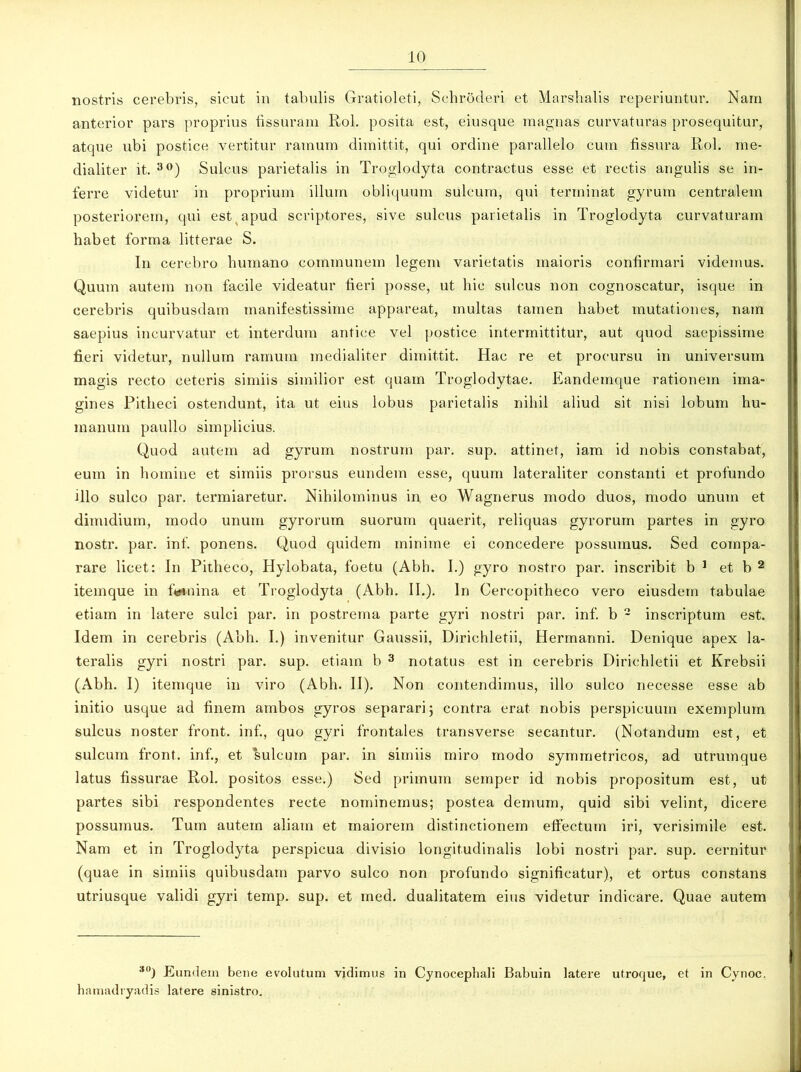 nostris cerebris, sicut in tabulis Gratioleti, Schroderi et Marshalis reperiuntur. Nam anterior pars proprius fissuram Rol. posita est, eiusque magnas curvaturas prosequitur, atque ubi postice vertitur ramum dimittit, qui ordine parallelo cum fissura Rol. me- dialiter it. 30) Sulcus parietalis in Troglodyta contractus esse et rectis angulis se in- ferre videtur in proprium illum obliquum sulcum, qui terminat gyrum centralem posteriorem, qui est apud scriptores, sive sulcus parietalis in Troglodyta curvaturam habet forma litterae S. In cerebro humano communem legem varietatis maioris confirmari videmus. Quum autem non facile videatur fieri posse, ut hic sulcus non cognoscatur, isque in cerebris quibusdam manifestissime appareat, multas tamen habet mutationes, nam saepius incurvatur et interdum antice vel postice intermittitur, aut quod saepissime fieri videtur, nullum ramum medialiter dimittit. Hac re et procursu in universum magis recto ceteris simiis similior est quam Troglodytae. Eandemque rationem ima- gines Pitheci ostendunt, ita ut eius lobus parietalis nihil aliud sit nisi lobum hu- manum paullo simplicius. Quod autem ad gyrum nostrum par. sup. attinet, iam id nobis constabat, eum in homine et simiis prorsus eundem esse, quum lateraliter constanti et profundo illo sulco par. termiaretur. Nihilominus in eo Wagnerus modo duos, modo unum et dimidium, modo unum gyrorum suorum quaerit, reliquas gyrorum partes in gyro nostr. par. inf. ponens. Quod quidem minime ei concedere possumus. Sed compa- rare licet: In Pitheco, Hylobata, foetu (Abh. I.) gyro nostro par. inscribit b 1 et b 2 iteinque in fttmina et Troglodyta (Abh. II.). In Cercopitheco vero eiusdem tabulae etiam in latere sulci par. in postrema parte gyri nostri par. inf. b 2 inscriptum est. Idem in cerebris (Abh. I.) invenitur Gaussii, Dirichletii, Hermanni. Denique apex la- teralis gyri nostri par. sup. etiam b 3 notatus est in cerebris Dirichletii et Krebsii (Abh. I) itemque in viro (Abh. II). Non contendimus, illo sulco necesse esse ab initio usque ad finem ambos gyros separari 5 contra erat nobis perspicuum exemplum sulcus noster front. inf., quo gyri frontales transverse secantur. (Notandum est, et sulcum front. inf., et ‘sulcum par. in simiis miro modo symmetricos, ad utrumque latus fissurae Rol. positos esse.) Sed primum sernper id nobis propositum est, ut partes sibi respondentes recte nominemus; postea demum, quid sibi velint, dicere possumus. Tum autem aliam et maiorem distinctionem effectum iri, verisimile est. Nam et in Troglodyta perspicua divisio longitudinalis lobi nostri par. sup. cernitur (quae in simiis quibusdam parvo sulco non profundo significatur), et ortus constans utriusque validi gyri temp. sup. et med. dualitatem eius videtur indicare. Quae autem 30) Eundem bene evolutum vidimus in Cynocephali Babuin latere utroque, et in Cvnoc. hamadryadis latere sinistro.