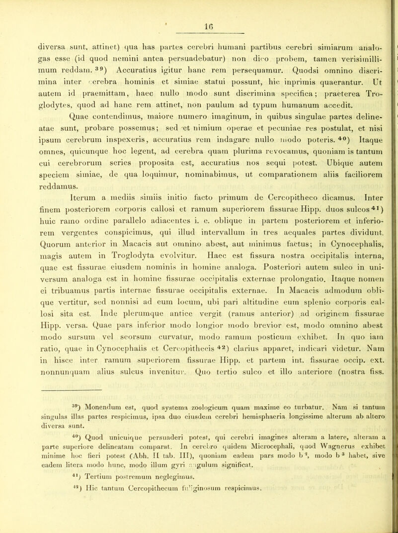 diversa sunt, attinet) qua has partes cerebri humani partibus cerebri simiarum analo- gas esse (id quod nemini antea persuadebatur) non dico probem, tamen verisimilli- mum reddam. 39) Accuratius igitur hanc rem persequamur. Quodsi omnino discri- mina inter cerebra hominis et simiae statui possunt, hic inprimis quaerantur. Ut autem id praemittam, haec nullo modo sunt discrimina specifica; praeterea Tro- glodytes, quod ad hanc rem attinet, non paulum ad typum humanum accedit. Quae contendimus, maiore numero imaginum, in quibus singulae partes deline- atae sunt, probare possemus; sed et nimium operae et pecuniae res postulat, et nisi ipsum cerebrum inspexeris, accuratius rem indagare nullo modo poteris.40) Itaque omnes, quicunque hoc legent, ad cerebra quam plurima revocamus, quoniam is tantum cui cerebrorum series proposita est, accuratius nos sequi potest. Ubique autem speciem simiae, de qua loquimur, nominabimus, ut comparationem aliis faciliorem reddamus. Iterum a mediis simiis initio facto primum de Cercopitheco dicamus. Inter finem posteriorem corporis callosi et ramum superiorem fissurae Hipp. duos sulcos41) huic ramo ordine parallelo adiacentes i. e. oblique in partem posteriorem et inferio- rem vergentes conspicimus, qui illud intervallum in tres aequales partes dividunt. Quorum anterior in Macacis aut omnino abest, aut minimus factus; in Cynocephalis, magis autem in Troglodyta evolvitur. Haec est fissura nostra occipitalis interna, quae est fissurae eiusdem nominis in homine analoga. Posteriori autem sulco in uni- versum analoga est in homine fissurae occipitalis externae prolongatio. Itaque nomen ei tribuamus partis internae fissurae occipitalis externae. In Macacis admodum obli- que vertitur, sed nonnisi ad eum locum, ubi pari altitudine eum splenio corporis cal- losi sita est. Inde plerumque antice vergit (ramus anterior) ad originem fissurae Hipp. versa. Quae pars inferior modo longior modo brevior est, modo omnino abest modo sursum vel seorsum curvatur, modo ramum posticum exhibet. In quo iam ratio, quae in Cynocephalis et Cercopithecis 42) clarius apparet, indicari videtur. Nam in hisce inter ramum superiorem fissurae Hipp. et partem int. fissurae occip. ext. nonnunquam alius sulcus invenitur. Quo tertio sulco et illo anteriore (nostra fiss. 39) Monendum est, quod systema zoologicum quam maxime eo turbatur. Nam si tantum singulas illas partes respicimus, ipsa duo eiusdem cerebri hemisphaeria longissime alterum ab altero diversa sunt. 40) Quod unicuique persuaderi potest, qui cerebri imagines alteram a latere, alteram a parte superiore delineatam comparat. Tn cerebro quidem Microcephali, quod Wagnerus exhibet minime hoc fieri potest (Abh. II tab. IIT), quoniam eadem pars modo b'2, modo b3 habet, sive eadem litera modo hunc, modo illum gyri angulum significat. 41> Tertium postremum neglegimus. 49) Hic tantum Cercopithecum fidiginosum respicimus.