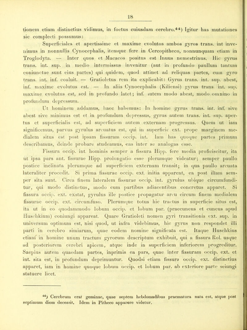 tionem etiam distinctius vidimus, in foetus cuiusdam cerebro.44) Igitur has mutationes sic complecti possumus: Superficiales et apertissime et maxime evolutos ambos gyros trans, int inve- nimus in nonnullis Cynocephalis, iternque fere in Cercopitheco, nonnunquam etiam in Troglodyta. — Inter quos et Macacos positus est Inuus nemestrinus. Hic gyrus trans, int. sup. in medio intermissus invenitur (aut in profundo paullum tantum coniunctae sunt eius partes) qui quidem, quod attinet ad reliquas partes, cum gyro trans, int. inf. coaluit. — Gratioletus rem ita explicabit: Gyrus trans, int. sup. abest, inf. maxime evolutus est. — In aliis Cynocephalis (Kiliensi) gyrus trans, int. sup. maxime evolutus est, sed in profundo latet; inf. autem modo abest, modo-omnino in profundum depressum. Ut hominem addamus, haec habemus: In homine gyrus trans, int. inf. sive abest sive minimus est et in profundum depressus, gyrus autem trans, int. sup. aper- tus et superficialis est, ad superficiem autem externam progressus. Quem ut iam significemus, parvus gyrulus arcuatus est, qui in superficie ext. prope marginem me- dialem situs est post ipsam fissuram oecip. int. Iam has quoque partes primum describamus, deinde probare studeamus, -eas inter se analogas esse. Fissura occip. int. hominis semper a fissura Hipp. fere media proficiscitur, ita ut ipsa pars ant. fissurae Hipp. prolongatio esse plerumque videatur; semper paullo postice inclinata plerumque ad superficiem externam transit; in qua paullo arcuata lateraliter procedit. Si prima fissurae occip. ext. initia apparent, ea post illam sem- per sita sunt. Circa finem lateralem fissurae occip. int. gyrulus ubique circumfundi- tur, qui modo distinctus» modo cum partibus adiacentibus concretus apparet. Si fissura occip. ext. exstat, gyrulus ille postice propagatur arcu circum finem medialem fissurae occip. ext. circumfuso. Plerumque totus hic tractus in superficie situs est, ita ut in eo quodammodo lobum occip. et lobum par. (praecuneus et cuneus apud Huschkium) coniungi appareat. Quare Gratioleti nomen gyri transitionis ext. sup. in universum optimum est, nisi quod, ut infra videbimus, hic gyrus non respondet illi parti in cerebro simiarum, quae eodem nomine significata est. Itaque Huschkius etianfi in homine unum tractum gyrorum descriptum exhibuit, qui a fissura Rol. usque ad posteriorem cerebri apicem, atque inde in superficiem inferiorem progreditur. Saepius autem quaedam partes, inprimis ea pars, quae inter fissuram. occip. ext. et int. sita est, in profundum deprimuntur. Quodsi etiam fissura occip. ext. distinctius apparet, iam in homine quoque lobum occip. et lobum par. ab exteriore parte seiungi statuere licet. 44) Cerebrum erat geminae, quae septem hebdomadibus praematura nata est, atque post septimum diem decessit. Idem in Pitheco apparere videtur.