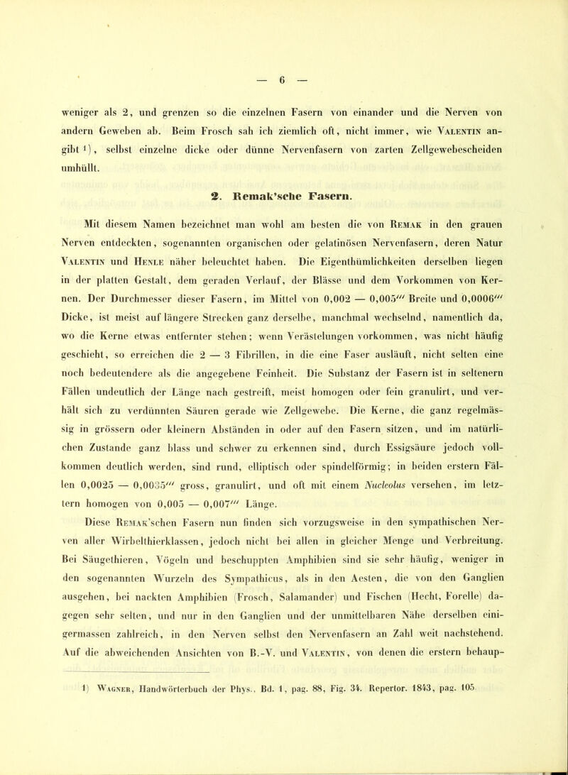 weniger als 2, und grenzen so die einzelnen Fasern von einander und die Nerven von andern Geweben ab. Beim Frosch sab ich ziemlich oft, nicht immer, wie Valentin an- gibt 1), selbst einzelne dicke oder dünne Nervenfasern von zarten Zellgewebescheiden umhüllt. 2. Remak’sche Fasern. Mit diesem Namen bezeichnet man wohl am besten die von Remak in den grauen Nerven entdeckten, sogenannten organischen oder gelatinösen Nervenfasern, deren Natur Valentin und Henle näher beleuchtet haben. Die Eigenthümlichkeiten derselben liegen in der platten Gestalt, dem geraden Verlauf, der Blässe und dem Vorkommen von Ker- nen. Der Durchmesser dieser Fasern, im Mittel von 0,002 — 0,005' Breite und 0,0006' Dicke, ist meist auf längere Strecken ganz derselbe, manchmal wechselnd, namentlich da, wo die Kerne etwas entfernter stehen; wenn Verästelungen Vorkommen, was nicht häufig geschieht, so erreichen die 2 — 3 Fibrillen, in die eine Faser ausläuft, nicht selten eine noch bedeutendere als die angegebene Feinheit. Die Substanz der Fasern ist in seltenem Fällen undeutlich der Länge nach gestreift, meist homogen oder fein granulirt, und ver- hält sich zu verdünnten Säuren gerade wie Zellgewebe. Die Kerne, die ganz regelmäs- sig in grossem oder kleinern Abständen in oder auf den Fasern sitzen, und iin natürli- chen Zustande ganz blass und schwer zu erkennen sind, durch Essigsäure jedoch voll- kommen deutlich werden, sind rund, elliptisch oder spindelförmig; in beiden erstem Fäl- len 0,0025 — 0,0035' gross, granulirt, und oft mit einem Nucleolus versehen, im letz- tem homogen von 0,005 — 0,007' Länge. Diese REMAK’schen Fasern nun linden sich vorzugsweise in den sympathischen Ner- ven aller Wirbelthierklassen, jedoch nicht bei allen in gleicher Menge und Verbreitung. Bei Säugethieren, Vögeln und beschuppten Amphibien sind sie sehr häufig, weniger in den sogenannten Wurzeln des Sympathicus, als in den Aesten, die von den Ganglien ausgehen, bei nackten Amphibien (Frosch, Salamander) und Fischen (Hecht, Forelle) da- gegen sehr selten, und nur in den Ganglien und der unmittelbaren Nähe derselben eini- germassen zahlreich, in den Nerven selbst den Nervenfasern an Zahl weit nachstehend. Auf die abweichenden Ansichten von B.-V. und Valentin, von denen die erstem behaup- 1) Wagner, Handwörterbuch der Phys., Bd. t, pag. 88, Fig. 34. Repertor. 1843, pag. 105