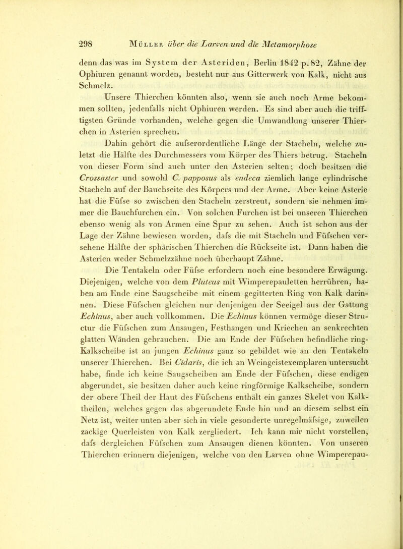 denn das was im System der Asteriden, Berlin 1842 p.82, Zähne der Ophiuren genannt worden, besteht nur aus Gitterwerk von Kalk, nicht aus Schmelz. Unsere Thierchen könnten also, wenn sie auch noch Arme bekom- men sollten, jedenfalls nicht Ophiuren werden. Es sind aber auch die triff- tigsten Gründe vorhanden, welche gegen die Umwandlung unserer Thier- chen in Asterien sprechen. Dahin gehört die aufserordentliche Länge der Stacheln, welche zu- letzt die Hälfte des Durchmessers vom Körper des Thiers betrug. Stacheln von dieser Form sind auch unter den Asterien selten; doch besitzen die Crossaster und sowohl C. papposus als endeca ziemlich lange cylindrische Stacheln auf der Bauchseite des Körpers und der Arme. Aber keine Asterie hat die Füfse so zwischen den Stacheln zerstreut, sondern sie nehmen im- mer die Bauchfurchen ein. Von solchen Furchen ist bei unseren Thierchen ebenso wenig als von Armen eine Spur zu sehen. Auch ist schon aus der Lage der Zähne bewiesen worden, dafs die mit Stacheln und Füfschen ver- sehene Hälfte der sphärischen Thierchen die Rückseite ist. Dann haben die Asterien weder Schmelzzähne noch überhaupt Zähne. Die Tentakeln oder Füfse erfordern noch eine besondere Erwägung. Diejenigen, welche von dem Pluteus mit Wimperepauletten herrühren, ha- ben am Ende eine Saugscheibe mit einem gegitterten Ring von Kalk darin- nen. Diese Füfschen gleichen nur denjenigen der Seeigel aus der Gattung Echinus, aber auch vollkommen. Die Echinus können vermöge dieser Stru- ctur die Füfschen zum Ansaugen, Festhangen und Kriechen an senkrechten glatten Wänden gebrauchen. Die am Ende der Füfschen befindliche ring- Kalkscheibe ist an jungen Echinus ganz so gebildet wie an den Tentakeln unserer Thierchen. Bei Cidaris, die ich an Weingeistexemplaren untersucht habe, finde ich keine Saugscheiben am Ende der Füfschen, diese endigen abgerundet, sie besitzen daher auch keine ringförmige Kalkscheibe, sondern der obere Theil der Haut des Füfschens enthält ein ganzes Skelet von Kalk- theilen, welches gegen das abgerundete Ende hin und an diesem selbst ein Netz ist, weiter unten aber sich in viele gesonderte unregelmäfsige, zuweilen zackige Querleisten von Kalk zergliedert. Ich kann mir nicht vorstellen, dafs dergleichen Füfschen zum Ansaugen dienen könnten. Von unseren Thierchen erinnern diejenigen, welche von den Larven ohne Wimperepau-