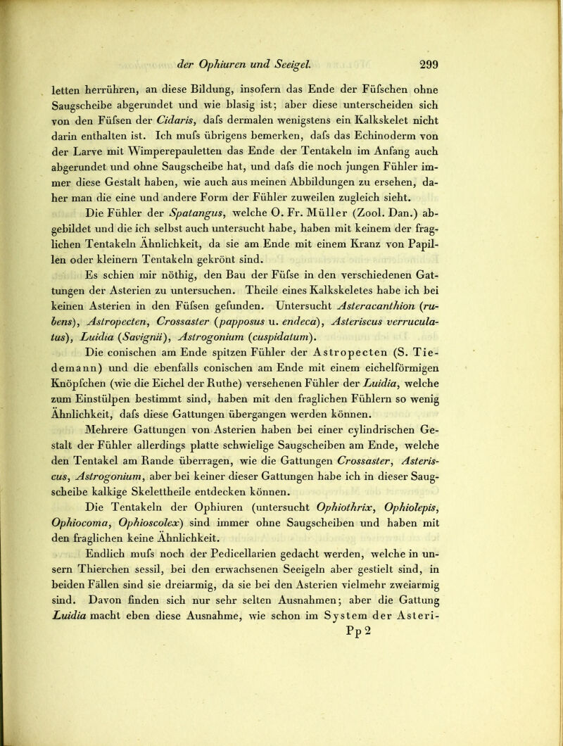 letten herrühren, an diese Bildung, insofern das Ende der Füfschen ohne Saugscheibe abgerundet und wie blasig ist; aber diese unterscheiden sich von den Füfsen der Cidaris, dafs dermalen wenigstens ein Kalkskelet nicht darin enthalten ist. Ich mufs übrigens bemerken, dafs das Echinoderm von der Larve mit Wimperepauletten das Ende der Tentakeln im Anfang auch abgerundet und ohne Saugscheibe hat, und dafs die noch jungen Fühler im- mer diese Gestalt haben, wie auch aus meinen Abbildungen zu ersehen, da- her man die eine und andere Form der Fühler zuweilen zugleich sieht. Die Fühler der Spatangus, welche O. Fr. Müller (Zool. Dan.) ab- gebildet und die ich selbst auch untersucht habe, haben mit keinem der frag- lichen Tentakeln Ähnlichkeit, da sie am Ende mit einem Kranz von Papil- len oder kleinern Tentakeln gekrönt sind. Es schien mir nöthig, den Bau der Füfse in den verschiedenen Gat- tungen der Asterien zu untersuchen. Theile eines Kalkskeletes habe ich bei keinen Asterien in den Füfsen gefunden. Untersucht Asteracanthion (ru~ bens), Aslropecten, Crossaster (papposus u. endeca), Asteriscus verrucula- tus), Luidia (Savignii), Astrogonium (cuspidaium). Die conischen am Ende spitzen Fühler der Astropecten (S. Tie- demann) und die ebenfalls conischen am Ende mit einem eichelförmigen Knöpfchen (wie die Eichel der Buthe) versehenen Fühler der Luidia, welche zum Einstülpen bestimmt sind, haben mit den fraglichen Fühlern so wenig Ähnlichkeit, dafs diese Gattungen übergangen werden können. Mehrere Gattungen von Asterien haben bei einer cylindrischen Ge- stalt der Fühler allerdings platte schwielige Saugscheiben am Ende, welche den Tentakel am Rande überragen, wie die Gattungen Crossaster, Asteris- cus, Astrogonium, aber bei keiner dieser Gattungen habe ich in dieser Saug- scheibe kalkige Skelettheile entdecken können. Die Tentakeln der Ophiuren (untersucht Ophiothrix, Ophiolepis, Ophiocoma, Ophioscolex') sind immer ohne Saugscheiben und haben mit den fraglichen keine Ähnlichkeit. Endlich mufs noch der Pedicellarien gedacht werden, welche in un- sern Thierchen sessil, bei den erwachsenen Seeigeln aber gestielt sind, in beiden Fällen sind sie dreiarmig, da sie bei den Asterien vielmehr zweiarmig sind. Davon finden sich nur sehr selten Ausnahmen; aber die Gattung Luidia macht eben diese Ausnahme, wie schon im System der Asteri- Pp 2