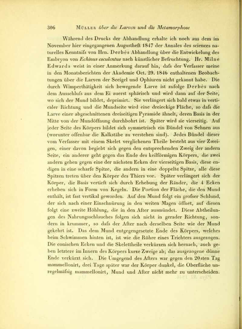 Während des Drucks der Abhandlung erhalte ich noch aus dem im November hier eingegangenen Augustheft 1847 der Annales des Sciences na- turelles Kenntnifs von Hrn. Derbes Abhandlung über die Entwickelung des Embryon von Echinus esculentus nach künstlicher Befruchtung. Hr. Milne Edwards weist in einer Anmerkung daraufhin, dafs der Verfasser meine in den Monatsberichten der Akademie Oct. 29. 1846 enthaltenen Beobach- tungen über die Larven der Seeigel und Ophiuren nicht gekannt habe. Die durch Wimperthätigkeit sich bewegende Larve ist zufolge Derbes nach dem Ausschlufs aus dem Ei zuerst sphärisch und wird dann auf der Seite, wo sich der Mund bildet, deprimirt. Sie verlängert sich bald etwas in verti- kaler Richtung lind die Mundseite wird eine dreieckige Fläche, so dafs die Larve einer abgeschnittenen dreiseitigen Pyramide ähnelt, deren Basis in der Mitte von der Mundöffnung durchbohrt ist. Später wird sie vierseitig. Auf jeder Seite des Körpers bildet sich symmetrisch ein Bündel von Sehnen aus (worunter offenbar die Kalkstäbe zu verstehen sind). Jedes Bündel dieser vom Verfasser mit einem Skelet verglichenen Theile besteht aus vier Zwei- gen, einer davon begiebt sich gegen den entsprechenden Zweig der andern Seite, ein anderer geht gegen das Ende des keilförmigen Körpers, die zwei andern gehen gegen eine der nächsten Ecken der vierseitigen Basis, diese en- digen in eine scharfe Spitze, die andern in eine doppelte Spitze, alle diese Spitzen treten über den Körper des Thiers vor. Später verlängert sich der Körper, die Basis vertieft sich durch Erhebung der Ränder, die 4 Ecken erheben sich in Form von Kegeln. Die Portion der Fläche, die den Mund enthält, ist fast vertikal geworden. Auf den Mund folgt ein grofser Schlund, der sich nach einer Einschnürung in den weiten Magen öffnet, auf diesen folgt eine zweite Höhlung, die in den After ausmündet. Diese Abtheilun- gen des Nahrungsschlauches folgen sich nicht in gerader Richtung, son- dern in krummer, so dafs der After nach derselben Seite wie der Mund gekehrt ist. Das dem Mund entgegengesetzte Ende des Körpers, welches beim Schwimmen hinten ist, ist wie die Röhre eines Trichters ausgezogen. Die conischen Ecken und die Skelettheile verkürzen sich hernach, auch ge- ben letztere im Innern des Körpers kurze Zweige ab; das ausgezogene dünne Ende verkürzt sich. Die Umgegend des Afters war gegen den 20sten Tag mammellonirt, drei Tage später war der Körper dunkel, die Oberfläche un- regelmäfsig mammellonirt, Mund und After nicht mehr zu unterscheiden.