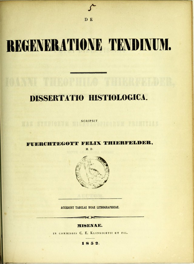 digitised image 1