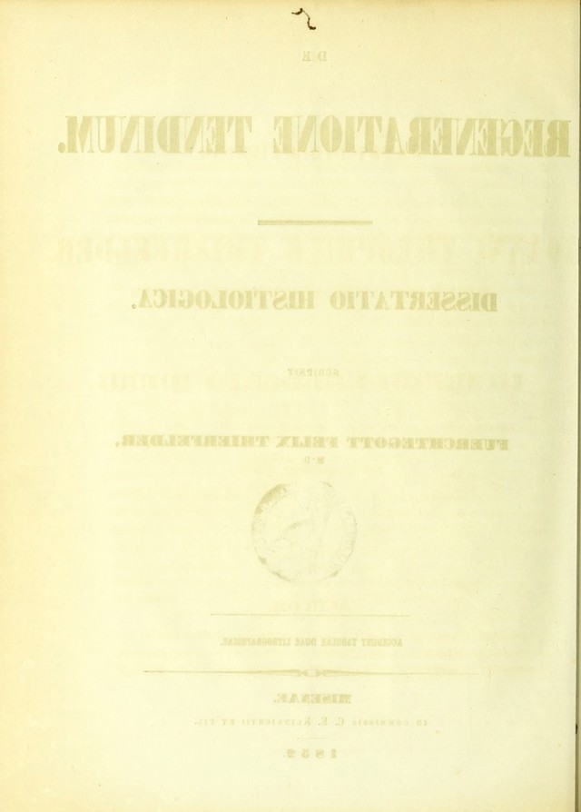 digitised image 2