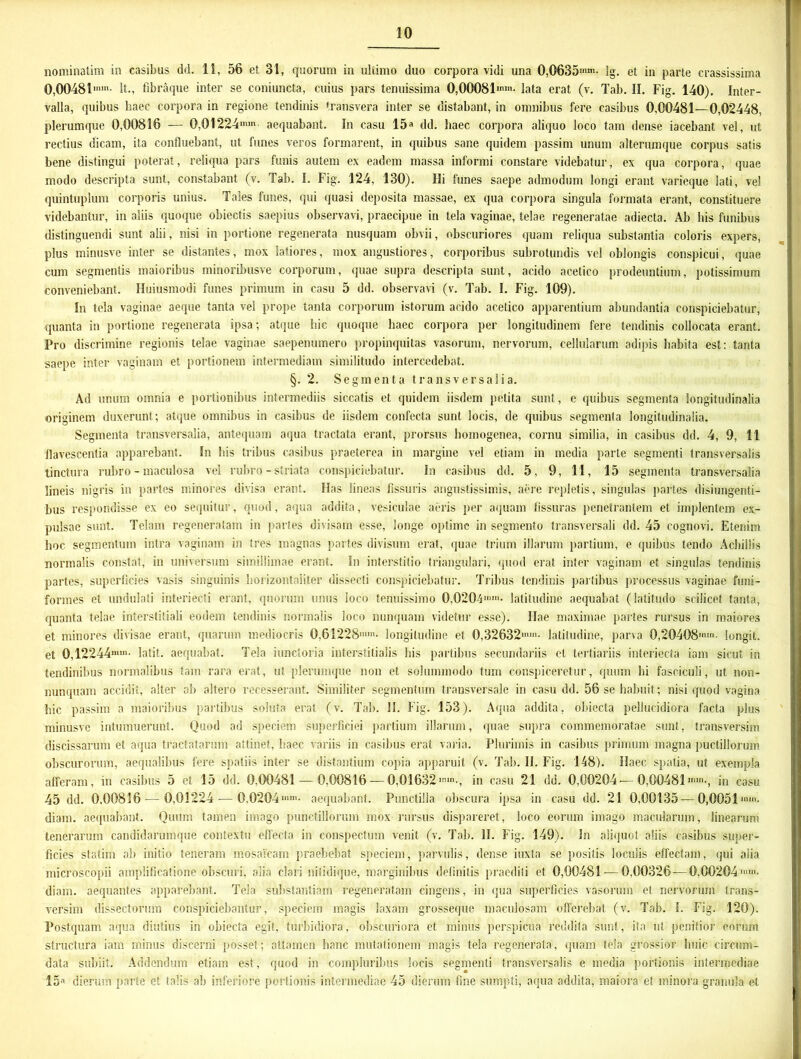 nominatim in casibus dd. 11, 56 et 31, quorum in ultimo duo corpora vidi una 0,0635»™- Ig. et in parte crassissima 0,00481»™- It., fibraque inter se coniuncta, cuius pars tenuissima 0,00081™»- lata erat (v. Tab. II. Fig. 140). Inter- valla, quibus haec corpora in regione tendinis transvera inter se distabant, in omnibus fere casibus 0,00481—0,02448, plerumque 0,00816 — 0,01224™»- aequabant. In casu 15a dd. haec corpora aliquo loco tam dense iacebant vel, ut rectius dicam, ita confluebant, ut funes veros formarent, in quibus sane quidem passim unum alterumque corpus satis bene distingui poterat, reliqua pars funis autem ex eadem massa informi constare videbatur, ex qua corpora, quae modo descripta sunt, constabant (v. Tab. I. Fig. 124, 130). Hi funes saepe admodum longi erant varieque lati, vel quintuplum corporis unius. Tales funes, qui quasi deposita massae, ex qua corpora singula formata erant, constituere videbantur, in aliis quoque obiectis saepius observavi, praecipue in tela vaginae, telae regeneratae adiecta. Ab his funibus distinguendi sunt alii, nisi in portione regenerata nusquam obvii, obscuriores quam reliqua substantia coloris expers, plus minusve inter se distantes, mox latiores, mox angustiores, corporibus subrotundis vel oblongis conspicui, quae cum segmentis maioribus minoribusve corporum, quae supra descripta sunt, acido acetico prodeuntium, potissimum conveniebant. Huiusmodi funes primum in casu 5 dd. observavi (v. Tab. I. Fig. 109). In tela vaginae aeque tanta vel prope tanta corporum istorum acido acetico apparentium abundantia conspiciebatur, quanta in portione regenerata ipsa; atque hic quoque haec corpora per longitudinem fere tendinis collocata erant. Pro discrimine regionis telae vaginae saepenumero propinquitas vasorum, nervorum, cellularum adipis habita est: tanta saepe inter vaginam et portionem intermediam similitudo intercedebat. §. 2. Segmenta transversalia. Ad unum omnia e portionibus intermediis siccatis et quidem iisdem petita suet, e quibus segmenta longitudinalia originem duxerunt; atque omnibus in casibus de iisdem confecta sunt locis, de quibus segmenta longitudinalia. Segmenta transversalia, antequam aqua tractata erant, prorsus homogenea, cornu similia, in casibus dd. 4, 9, 11 flavescentia apparebant. In bis tribus casibus praeterea in margine vel etiam in media parte segmenti transversalis tinctura rubro - maculosa vel rubro - striata conspiciebatur. In casibus dd. 5, 9, 11, 15 segmenta transversalia lineis nigris in partes minores divisa erant. Has lineas fissuris angustissimis, aere repletis, singulas partes disjungenti- bus respondisse ex eo sequitur, quod, aqua addita, vesiculae aeris per aquam fissuras penetrantem et implentem ex- pulsae sunt. Telam regeneratam in partes divisam esse, longe optime in segmento transversali dd. 45 cognovi. Etenim hoc segmentum intra vaginam in tres magnas partes divisum erat, quae trium illarum partium, e quibus tendo Achillis normalis constat, in universum simillimae erant. In interstitio triangulari, quod erat inter vaginam et singulas tendinis partes, superficies vasis singuinis horizontaiiter dissecti conspiciebatur. Tribus tendinis partibus processus vaginae funi- formes et undulati interjecti erant, quorum unus loco tenuissimo 0,0204™»- latitudine aequabat (latitudo scilicet tanta, quanta telae interstitiali eodem tendinis normalis loco nunquam videtur esse). Hae maximae partes rursus in maiores et minores divisae erant, quarum mediocris 0,61228™- longitudine et 0,32632- latitudine, parva 0,20408- longit. et 0,12244»- latit. aequabat. Tela iunctoria interstitialis bis partibus secundariis et tertiariis interjecta iam sicut in tendinibus normalibus tam rara erat, ut plerumque non et solummodo tum conspiceretur, quum hi fasciculi, ut non- nunquam accidit, alter ab altero recesserant. Similiter segmentum transversale in casu dd. 56 se habuit; nisi quod vagina hic passim a maioribus partibus soluta erat (v. Tab. H. Fig. 153). Aqua addita, obiecta pehuckliora facta plus minusve intumuerunt. Quod ad speciem superficiei partium illarum, quae supra commemoratae sunt, transversim discissarum et aqua tractatarum attinet, haec variis in casibus erat varia. Plurimis in casibus primum magna puctillorum obscurorum, aequalibus fere spatiis inter se distantium copia apparuit (v. Tab. II. Fig. 148). Haec spatia, ut exempla afferam, in casibus 5 et 15 dd. 0,00481 — 0,00816 — 0,01632in casu 21 dd. 0,00204-—0,00481»-, in casu 45 dd. 0,00816 — 0,01224 — 0,0204- aequabant. Punctilla obscura ipsa in casu dd. 21 0,00135 — 0,0051™»- diam, aequabant. Quum tamen imago punctillorum mox rursus dispareret, loco eorum imago macularum, linearum tenerarum candidarumque contextu effecta in conspectum venit (v. Tab. II. Fig. 149). Jn aliquot aliis casibus super- ficies statim ab initio teneram mosaicam praebebat speciem, parvulis, dense iuxta se positis loculis effectam, qui alia microscopii amplificatione obscuri, alia clari nifidique, marginibus definitis praediti et 0,00481-—0,00326 — 0,00204™»- diam, aequantes apparebant. Tela substantiam regeneratam cingens, in qua superficies vasorum et nervorum trans- versim dissectorum conspiciebantur, speciem magis laxam grosseque maculosam offerebat (v. Tab. I. Fig. 120). Postquam aqua diutius in obiecta egit, turbidiora, obscuriora et minus perspicua reddita sunt, ita ut penitior eorum structura iam minus discerni posset ; attamen hanc mutationem magis tela regenerata, quam tela grossior huic circum- data subiit. Addendum etiam est, quod in compluribus locis segmenti transversalis e media portionis intermediae 15a dierum parte et talis ab inferiore portionis intermediae 45 dierum fine sumpti, aqua addita, maiora et minora granula et