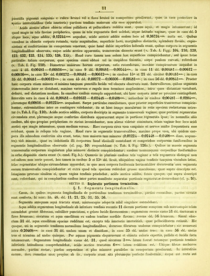 punctilla pigmenti sanguinis e rubro brtinei vel e flavo brunei in conspectum prodierunt, quae in casu posteriore in spatiis interstitialibus (tela iunctoria) partium tendinis maiorum sita esse apparebat. Acido acetico affuso obiecta etiam pallidiora et pellucidiora reddita sunt, quam aqua, et magis intumuerunt; id quod magis in tela fasciae peripherica, quam in tela regenerata fieri solebat, atque latitudo vaginae, quae in casu dd. 5 aliquo loco, aqua addita, 0,12244»»»- aequabat, acido acetico addito eodem loco ad 0,36734 »»»• aucta est. Quibus omnibus in obiectis corpora rotunda, varia magnitudine, superficie laevi, marginibus distinctis, splendore flavido, copio- sissima et confertissima in conspectum venerunt, quae haud dubie superficies habenda erant, quibus corpora in segmentis longitudinalibus observata, eaque acido acetico apparentia, transversim dissecta erant (v. Tab. 1. Figg. 104, 110, 120, 123, 132, 133, 134, 135, 138, 155). Haud raro tamen non solum hae superficies conspiciebantur, sed ipsae totae particulae talium corporum, quae speciem cunei obtusi vel in cuspidem finientis, saepe paulum curvati, referebant (v. Tab. I. Fig. 110). Diametrus maiorum horum corporum, satis rotundorum, maxime conspicuorum aequabat in casu 4 dd. 0,00481—0,00816»»»-, in casu 9 dd. 0,00481 — 0,00544mm-, in casu 11 dd. 0,00481—0,00612 — 0,008161»»1-, in casu 15» dd. 0,00272 — 0,00481 — 0,00612»»»-; in casibus 15b et 21 dd. circiter 0.00481»»»-; in casu 35 dd. 0,00481—0.00612»»’; in casu 45 dd. 0,00272 — 0,00306 — 0,00481m)n-; in casu 56 dd. 0,00841»»- Praeter haec corpora etiam minora et minima tanquam punctilla lucida vel obscura observata sunt. Intervallorum, quibus segmenta transversalia inter se distabant, maxime variorum e regula non terminos amplissimos, intra quos distantiae variabant, definivi, sed distantiam mediam. In omnibus casibus exempla suppetebant, ubi haec corpora inter se proxime contingebant. Interstita vera in casu 4 dd. 0,00481 — 0,01632 — 0,02448 — 0,0408»n’, serioribus in casibus 0,00481 — 0,0204»»»-, plerumque 0,00816 — 0,01224»»». aequabant. Saepe particulae cuneiformes, quae praeter superficies transversas conspicie- bantur, extremitatibus inter se contingere videbantur, ita ut hinc imago macularum in retis speciem redactarum orire- tur (v. Tab.I. Fig. 110). Acido acetico addito, corpora descripta in segmento transversali vaginae, quae portioni regeneratae circumdata erat, plerumque aeque confertim distributa apparuerunt atque in portione regenerata ipsa; in nonnullis aliis casibus, ubi quo propius periplieriam eo rarius inveniebantur, non aliena videtur coniectura, telam vaginae hoc loco acidi acelici ope magis intumuisse, quam medium versus. Haec corpora circa vasa sanguinis et nervos multo frequentiora esse solebant, quam in reliqua tela vaginae. Haud raro in segmentis transversalibus, maxime prope vasa, ubi quidem cor- pora illa admodum confertim sita erant, totas, tum maiores tum minores (0.01224 — 0,02448 — 0,0408»»»- diam, aequan- tes) vidi massas, quae ex substantia illi corporum haud dissimili constabant et congeriebus corporum funifonnibus in segmentis longitudinalibus observatis (cf. pag. 10) respondebant (v. Tab. 1. Fig. 126a.). Quibus in massis segmenta transversalia corporum singulorum plus minusve distincte conspiciebantur; eaedem nonmmouam corporibus fusiformibus in orbe dispositis cincta erant (v. eand. Fig. b.). Quamvis in plurimis casibus tela vaginae a tela regenerata distingui non vel saltem non certe posset, hoc tamen in casibus 5 et 15b dd. licuit, ubiquidem vagina tendinis tanquam vinculum latius, telae regeneratae ubique circumdatum apparebat, in quo mox corpora fusiformia horizontaliter decurrentia mox segmenta eorum transversalia conspiciebantur et extra quod tela speciem referebat grosse maculosam, quae supra descripta est. Imaginem prorsus similem ei, quam vagina tendinis praebebat, acido acetico addito, funes quoque, qui supra descripti sunt, referebant, qui in compluribus casibus inter partes manifesto separatas portionis regeneratae decurrebant (cf. p. 10). SECTIO II. Exploratio portionum terminalium. §. 1. Segmenta longitudinalia. Casus, in quibus segmenta longitudinalia de portionibus tendinum terminalibus, partim recentibus, partim siccatis sunt confecta, hi sunt: hh. 48, dd. 11, 21, 25, 31, 35. 56. Segmenta antequam aqua tractata erant, microscopio adspecta nihil singulare ostendebant. Aqua addita segmentum longitudinale ab inferiore tendinis recentis 11 dierum portione sumptum sub microscopio telam ostendebat grosse fibrosam, subtiliter punctatam, e griseo lucide flavescentem; segmentum recens casus 31 dd. tincturam e flavo bruneam; siccatum et aqua emollitum ex eadem tendine sordide flavam; recens dd. 56 bruneam. Simul obie- ctum 31 dd. aqua emollitum opacius redditum est, excepta tela iunctoria interstitiali, quae pelluciditatem retinuit. Hic quoque, uti in segmentis tendinum normalium longitudinalibus, decursus fibrarum undosus conspiciebatur; sic numeravi intra 0,20408»»- in casu 31 dd. undam unam et dimidiam, in casu 35 dd. undas tres; in casu 56 dd. undas tres et trientem ad undas quinque. Per aquam pigmenta disparuerunt et obiecta coloris expertia, pallida et lucida facta intumuerunt. Segmentum longitudinale casus dd. 31, quod siccatum 3»»». latum fuerat totamque portionis tendinis inferioris latitudinem comprehendebat, acido acetico tractatum 6»»»- latum redditum est. Ubique fibrae nucleares normales, partim rectae, partim serpentinae et plus minusve parallelae in conspectum prodierunt. Iu interstitiis eorum, mox remotius mox propius ab iis, corpora erant sita plerumque perfecte fusiformia, eaque aut recta aut