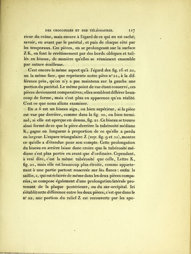 rieur du crâne, mais encore à l’ëgard de ce qui en est caché; savoir, en avant par le pariétal, et puis de chaque côté par les temporaux. Ces pièces, en se prolongeant sur la surface Z K, en font le revêtissement par des bords obliques et tail- lés en biseau, de manière qu’elles se réunissent ensemble par suture écailleuse. C’est encore le même aspect qu’à l’égard des fig. 16 et 22, ou la même face, que représente notre pièce n°2i, à la dif- férence près, qu’on n’y a pas maintenu sur la gauche une portion du pariétal. Le même point de vue étant conservé, ces pièces deviennent comparatives; elles semblent différer beau- coup de forme, mais c’est plus en apparence qu’en réalité. C’est ce que nous allons examiner. En a b est un biseau aigu, ou bien supérieur, si la pièce est vue par derrière, comme dans la fig. 20, ou bien termi- nal, si elle est aperçue en dessus, fig. 21. Ce biseau se trouve ainsi formé de ce que la pièce .derrière la tubérosité médiane KT gagne en longueur à proportion de ce quelle a perdu en largeur. L’espace triangulaire Z (yoy. fig. 9 et 21),montre ce quelle a d’étendue pour son compte. Cette prolongation du biseau en arrière laisse donc croire que la tubérosité mé- diane s’est plus portée en avant que d’ordinaire. Cependant, à vrai dire, c’est la même tubérosité que celle, Lettre K, fig. 22, mais elle est beaucoup plus étroite, comme apparte- nant à une partie partout resserrée sur les flancs : enfin la saillie, z, qui est éclairée de même dans les deux pièces compa- rées, se compose également d’une prolongation latérale pro- venant de la plaque postérieure, ou du sur-occipital. Ici s’établit cette différence entre les deux pièces, c’est que dans le n° 22, une portion du relief Z est recouverte par les apo-