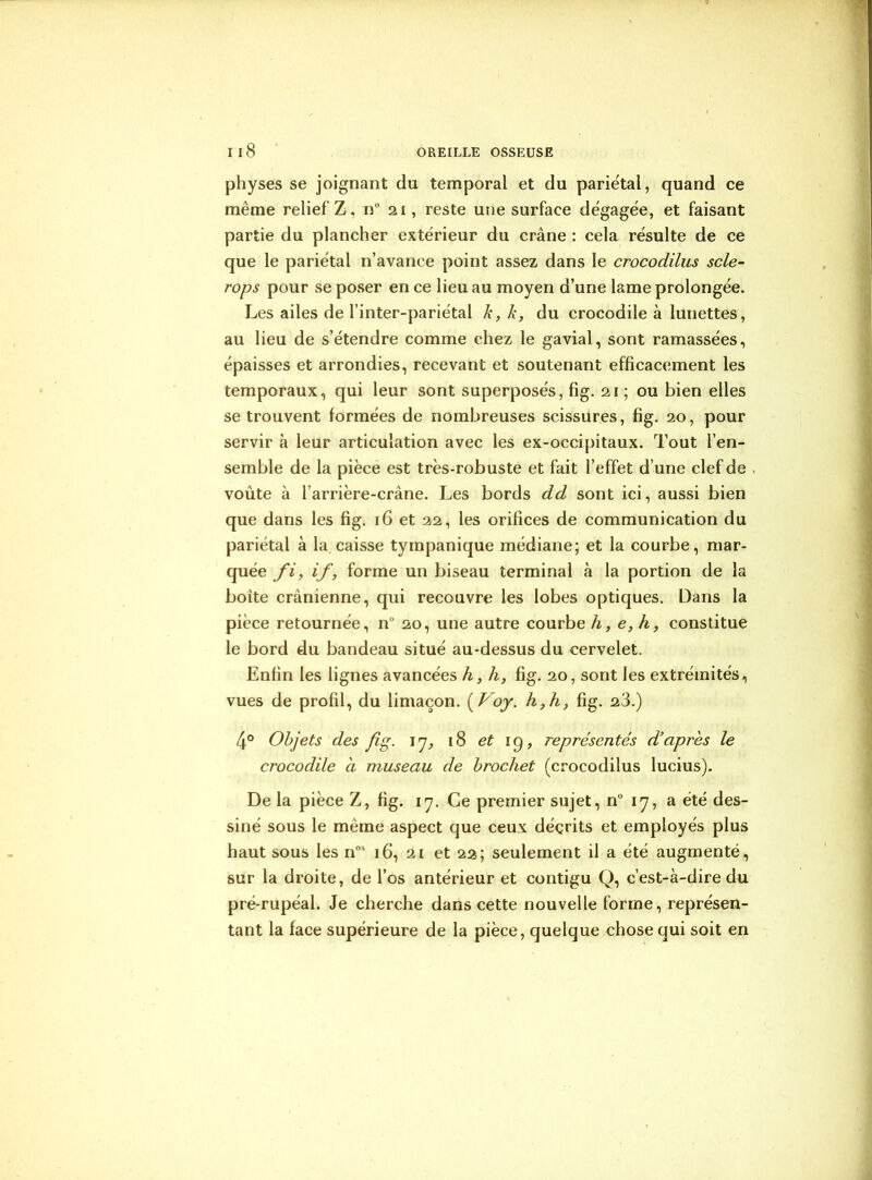 physes se joignant du temporal et du pariétal, quand ce même relief Z, n° 21, reste une surface dégagée, et faisant partie du plancher extérieur du crâne : cela résulte de ce que le pariétal n’avance point assez dans le crocodilus scie- rops pour se poser en ce lieu au moyen d’une lame prolongée. Les ailes de l’inter-pariétal k, k, du crocodile à lunettes, au lieu de s’étendre comme chez le gavial, sont ramassées, épaisses et arrondies, recevant et soutenant efficacement les temporaux, qui leur sont superposés, fig. 21 ; ou bien elles se trouvent formées de nombreuses scissures, fig. 20, pour servir à leur articulation avec les ex-occipitaux. Tout l’en- semble de la pièce est très-robuste et fait l’effet d’une clef de voûte à farrière-crâne. Les bords dd sont ici, aussi bien que dans les fig. 16 et 22, les orifices de communication du pariétal à la caisse tympanique médiane; et la courbe, mar- quée fi, if, forme un biseau terminal à la portion de la boîte crânienne, qui recouvre les lobes optiques. Dans la pièce retournée, n° 20, une autre courbe h, e, h, constitue le bord du bandeau situé au-dessus du cervelet. Enfin les lignes avancées h, h, fig. 20, sont les extrémités, vues de profil, du limaçon. ( Voy. h, h, fig. 23.) 4° Objets des fig. 17, 18 et 19, représentés d’après le crocodile à museau de brochet (crocodilus lucius). De la pièce Z, fig. 17. Ce premier sujet, n° 17, a été des- siné sous le même aspect que ceux déçrits et employés plus haut sous les nos 16, 21 et 22; seulement il a été augmenté, sur la droite, de l’os antérieur et contigu Q, c’est-à-dire du pré-rupéal. Je cherche dans cette nouvelle forme, représen- tant la face supérieure de la pièce, quelque chose qui soit en