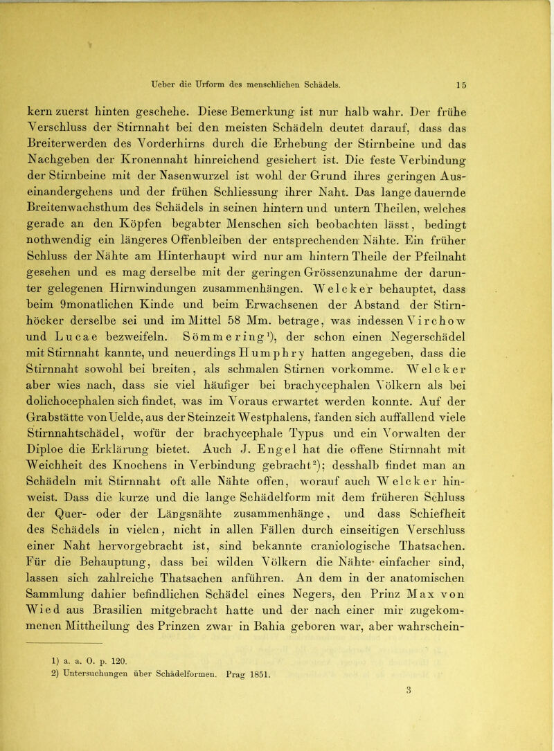 kern zuerst hinten geschehe. Diese Bemerkung ist nur halb wahr. Der frühe Verschluss der Stirnnaht bei den meisten Schädeln deutet darauf, dass das Breiterwerden des Yorderhirns durch die Erhebung der Stirnbeine und das Nachgeben der Kronennaht hinreichend gesichert ist. Die feste Verbindung der Stirnbeine mit der Nasenwurzel ist wohl der Grund ihres geringen Aus- einandergehens und der frühen Schliessung ihrer Naht. Das lange dauernde Breitenwachsthum des Schädels in seinen hintern und untern Theilen, welches gerade an den Köpfen begabter Menschen sich beobachten lässt, bedingt nothwendig ein längeres Offenbleiben der entsprechenden Nähte. Ein früher Schluss der Nähte am Hinterhaupt wird nur am hintern Theile der Pfeilnaht gesehen und es mag derselbe mit der geringen Grössenzunahme der darun- ter gelegenen Hirnwindungen Zusammenhängen. Welcher behauptet, dass beim 9monatlichen Kinde und beim Erwachsenen der Abstand der Stirn- höcker derselbe sei und im Mittel 58 Mm. betrage, was indessen Virchow und Lucae bezweifeln. Sömmering^), der schon einen Negerschädel mit Stirnnaht kannte, und neuerdings H u m p h r y hatten angegeben, dass die Stirnnaht sowohl bei breiten, als schmalen Stirnen vorkomme. Welcher aber wies nach, dass sie viel häufiger bei brachycephalen Völkern als bei dolichocephalen sich findet, was im Voraus erwartet werden konnte. Auf der Grabstätte vonUelde, aus der Steinzeit Westphalens, fanden sich auffallend viele Stirnnahtschädel, wofür der brachycephale Typus und ein Vorwalten der Diploe die Erklärung bietet. Auch J. Engel hat die offene Stirnnaht mit Weichheit des Knochens in Verbindung gebracht^); desshalb findet man an Schädeln mit Stirnnaht oft alle Nähte offen, worauf auch Welcher hin- weist. Dass die kurze und die lange Schädelform mit dem früheren Schluss der Quer- oder der Längsnähte Zusammenhänge, und dass Schiefheit des Schädels in vielen, nicht in allen Fällen durch einseitigen Verschluss einer Naht hervorgebracht ist, sind bekannte craniologische Thatsachen. Für die Behauptung, dass bei wilden Völkern die Nähte* einfacher sind, lassen sich zahlreiche Thatsachen anführen. An dem in der anatomischen Sammlung dahier befindlichen Schädel eines Negers, den Prinz Max von Wied aus Brasilien mitgebracht hatte und der nach einer mir zugekom- menen Mittheilung des Prinzen zwar in Bahia geboren war, aber wahrschein- 1) a. a. 0. p. 120. 2) Untersuchangen über Schädelformen. Prag 1851.