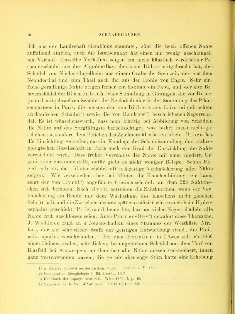 lieh aus der Landschaft Gambinde stammte, sind die noch offenen Nähte auffallend einfaeh, auch die Lambdanaht hat einen nur wenig geschlängel- ten Verlauf. Dasselbe Verhalten zeigen ein nieht künstlich verdrückter Pe- ruanersehädel aus der Algodon-Bay, den von Bibra mitgebracht hat, der Schädel von Nieder - Ingelheim aus einem Grabe der Steinzeit, der aus dem Neanderthal und zum Theil aueh der aus der Höhle von Engis. Sehr ein- fache geradlinige Nähte zeigen ferner ein Eskimo, ein Papu, und der alte Ba- taverschädel der B1 u m e n ba c h sehen Sammlung in Göttingen, die vonB our- gar el mitgebrachten Schädel der Neukaledonier in der Sammlung des Pflan- zengartens in Paris, die meisten der von Bilharz aus Cairo mitgebrachten afrikanischen SchädeH) sowie die vonBarkow^) beschriebenen Negerschä- del. Es ist wünschenswerth, dass man künftig bei Abbildung von Schädeln die Nähte auf das Sorgfältigste berücksichtige, was bisher meist nicht ge- schehen ist, sondern dem Belieben des Zeichners überlassen blieb. Broca hat die Einrichtung getroffen, dass im Kataloge der Schädelsammlung der anthro- pologischen Gesellschaft in Paris auch der Grad der Entwicklung der Nähte verzeichnet wird. Dass früher Verschluss der Nähte mit einer niedern Or- ganisation zusammenfällt, dafür giebt es nicht weniger Belege. Schon En- gel gab an, dass Idiotenschädel oft frühzeitige Verknöcherung aller Nähte zeigen. Wie verschieden aber bei Idioten die Knoehenbildung sein kann, zeigt der von II y r t H) angeführte Cretinenschädel, an dem 323 Nahtkno- chen sich befinden. Nach Hyrtl entstehen die Nahtknochen, wenn die Ver- knöcherung am Rande mit dem AVachsthum des Knochens nicht gleichen Schritt hält, und die Zwischensubstanz später ossifizirt, wie es auch beim Hydro- cephalus geschieht. Prichard bemerkte, dass an vielen Negerschädeln alle Nähte früh geschlossen seien. Auch Prii n er-B ey'^) erwähnt diese Thatsache. J. AYallace fand an 4 Negerschädeln eines Stammes der AVestküste Afri- ka’s, der auf sehr tiefer Stufe der geistigen Entwicklung stand, die Pfeil- naht spurlos verschwunden. Bei van Beneden in Löwen sah ich 1866 einen kleinen, ovalen, sein- dicken, braungefärbten Schädel aus dem Torf von Blasfeld bei Antwerpen, an dem fast alle Nähte aussen verknöchert, innen ganz verschwunden waren ; die gerade aber enge Stirn hatte eine Erhebung 1) A. Ecker, Schädel nordostafrikan. Völker. Frankf. a. M. 1866. 2) Comparative Morphologie 3. Bd. Breslau 1865 3) Handbuch der topogr. Anatomie, Wien 1853. I, p. 40. 4) Memoires de la Soc. d’Anthropol. Paris 1861. p. 336.